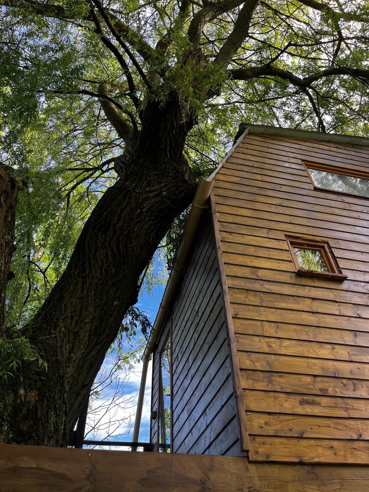 Éveillez vos sens dans une cabane perchée en Picardie à Vadencourt — espace de vie