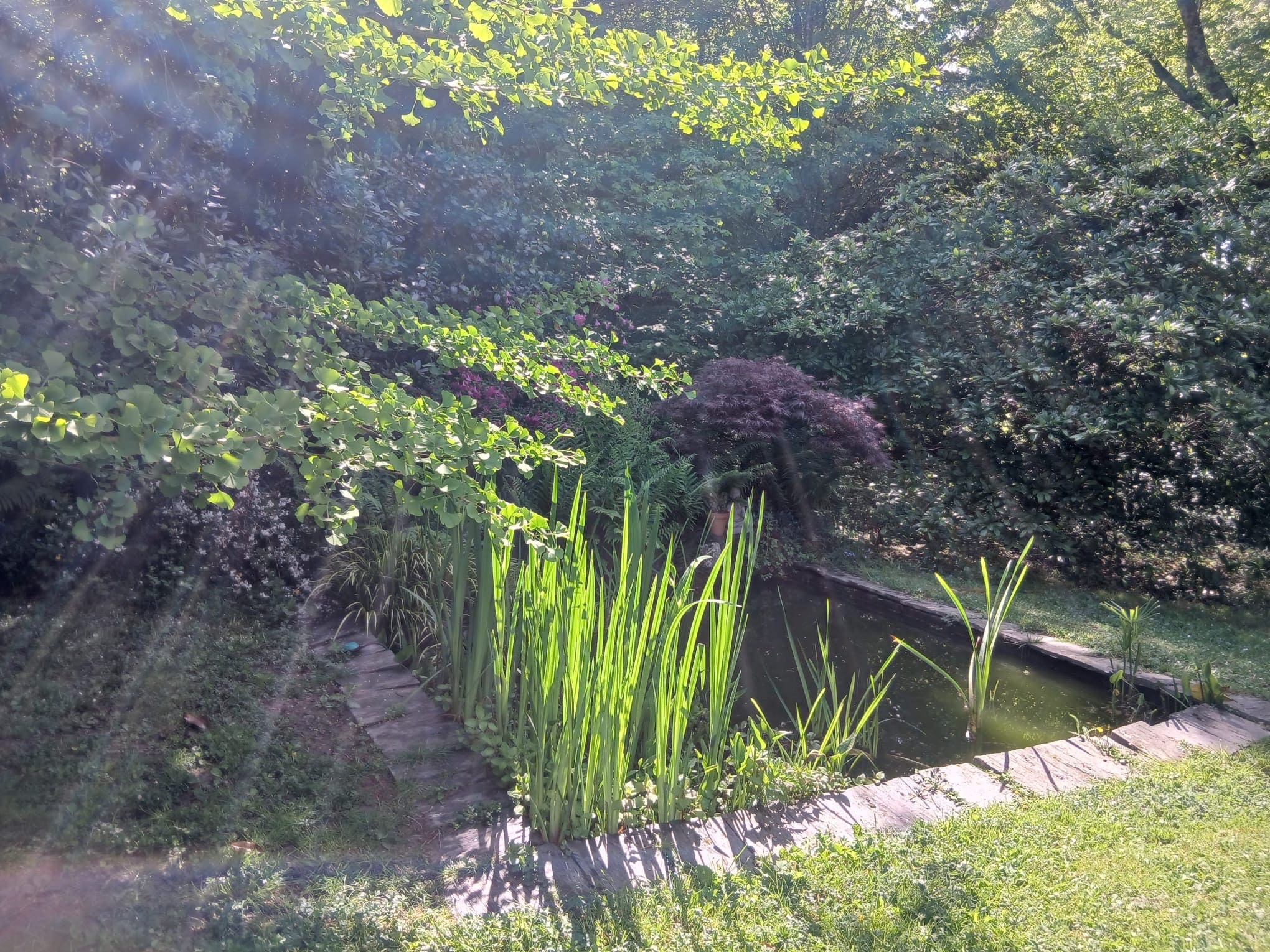 Le Temple Ysambre & Spa — Cabane avec jacuzzi en Bretagne à Vannes — cuisine