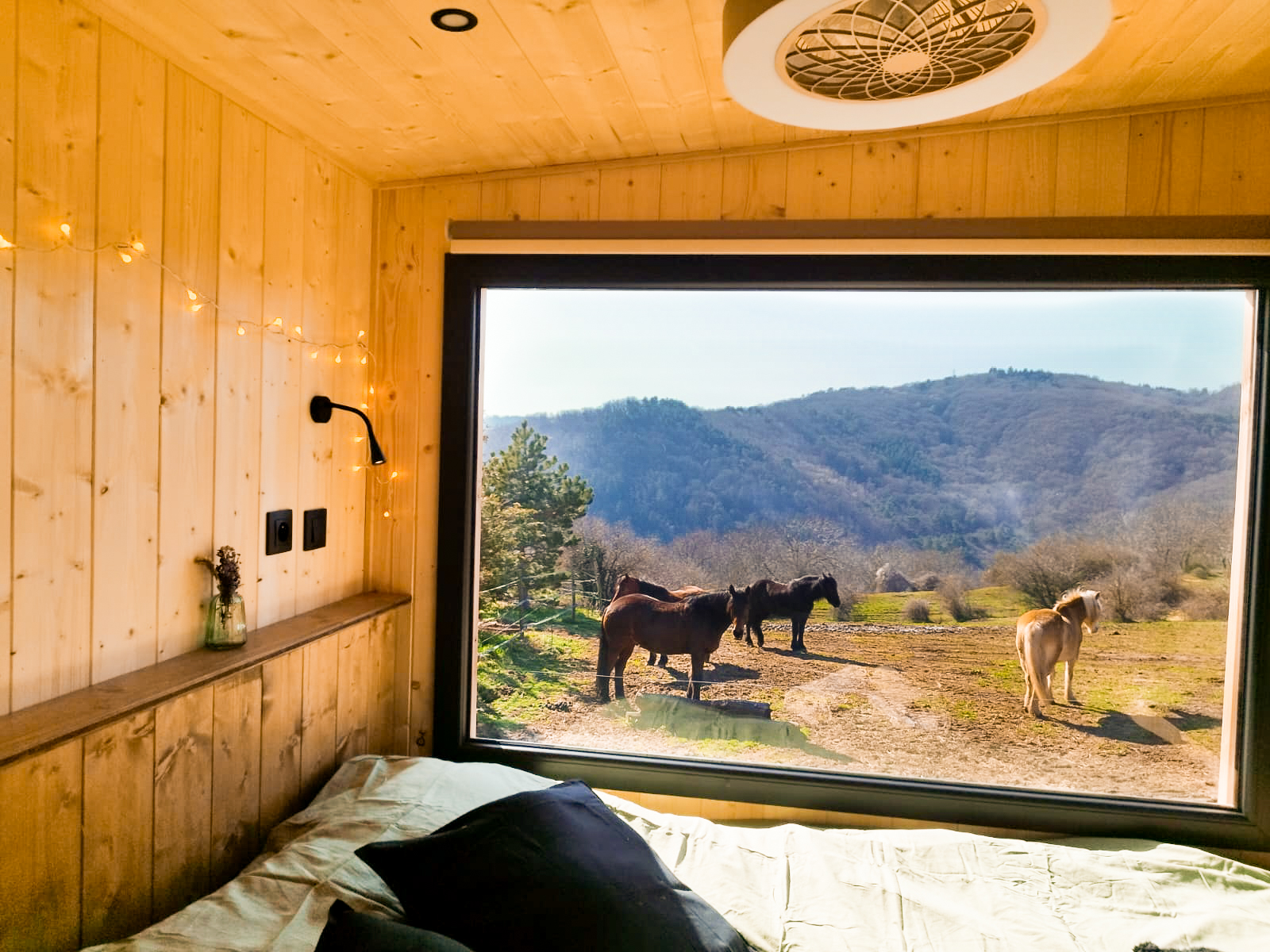 Homnest — Tiny House avec spa à Châtel-Guyon (Puy-de-Dôme)