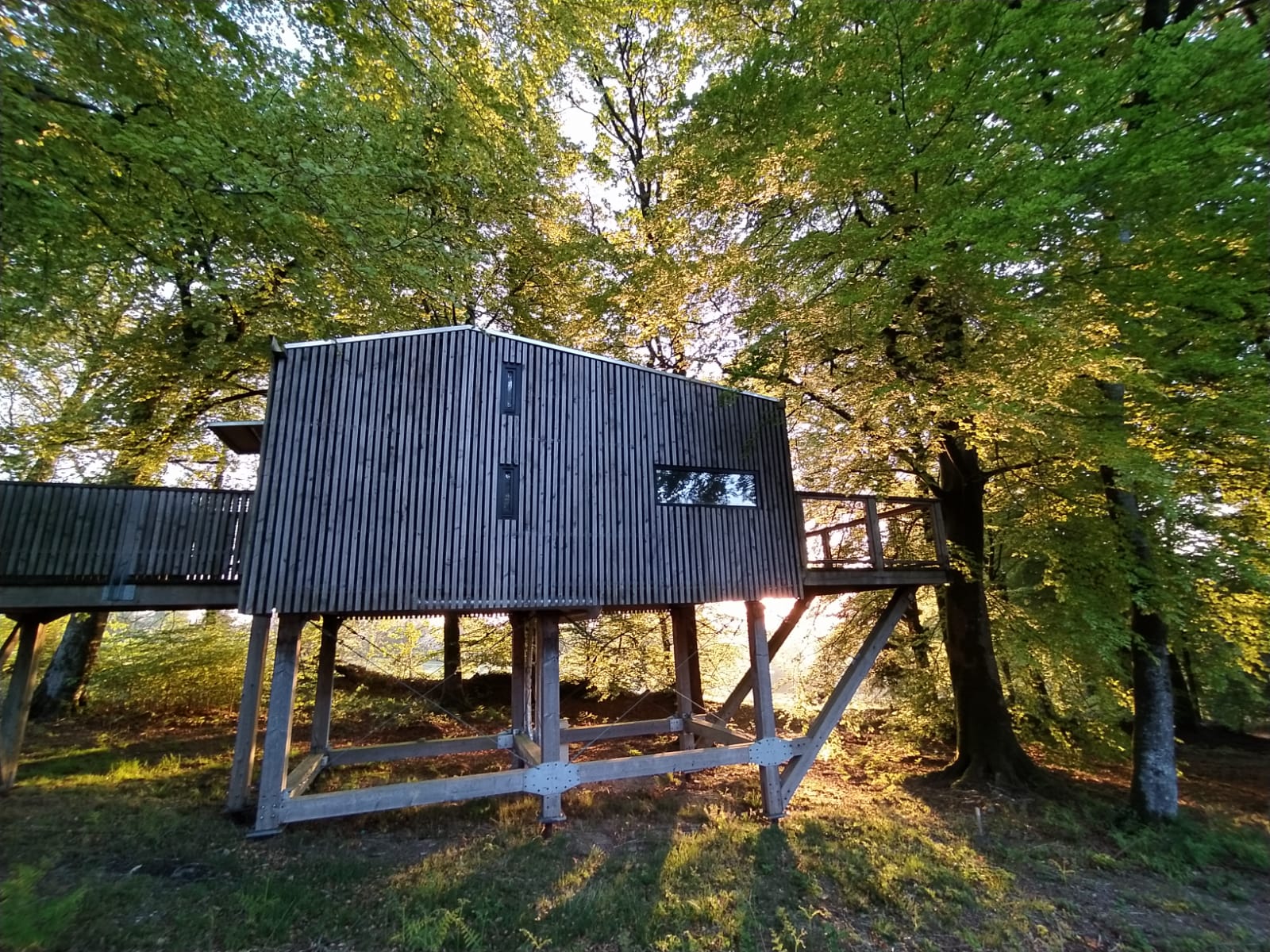 Évasion dans une cabane spa perchée en Basse-Normandie à Saint-Sever-Calvados — espace de vie
