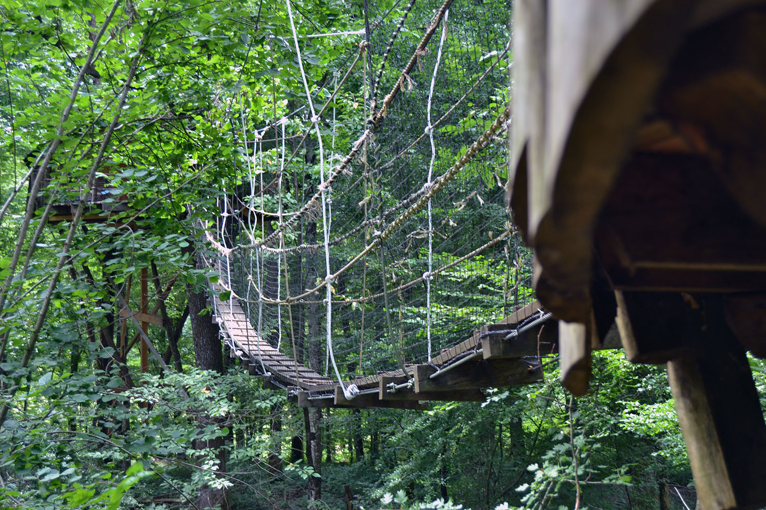 Cabane Tad Goz : une immersion dans les arbres de Franche-Comté à Ranchot — vue intérieure