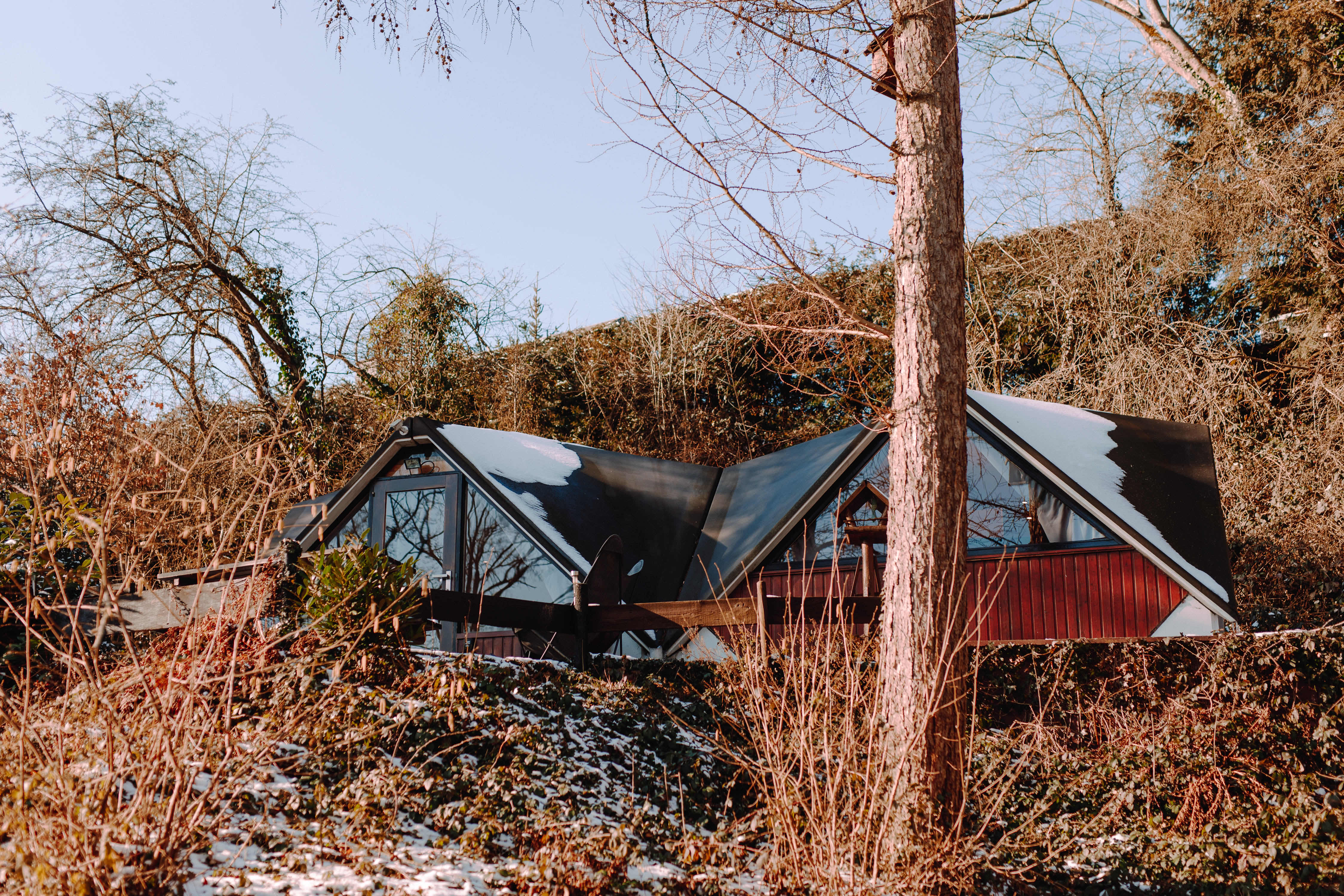 Chalet Boréal : Évasion au cœur des bois en Wallonie