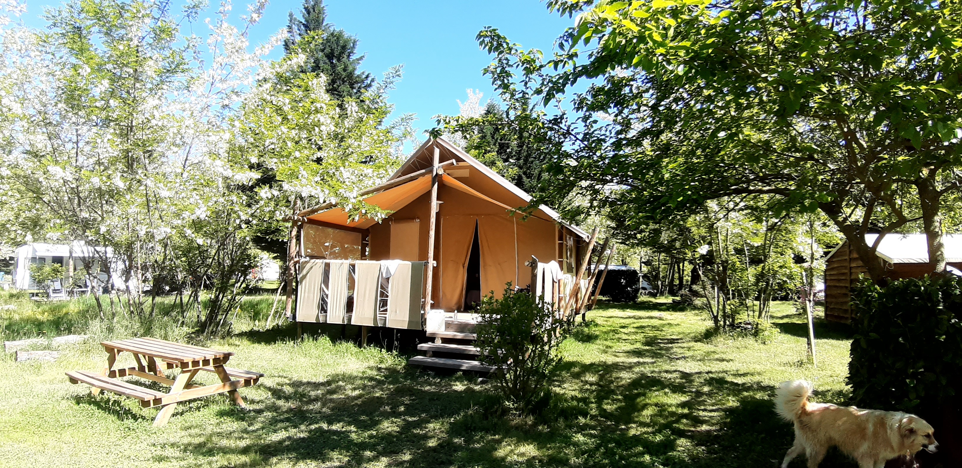 Vivez l'expérience immersive du Jungle Lodge en Rhône-Alpes à Arlebosc — vue intérieure