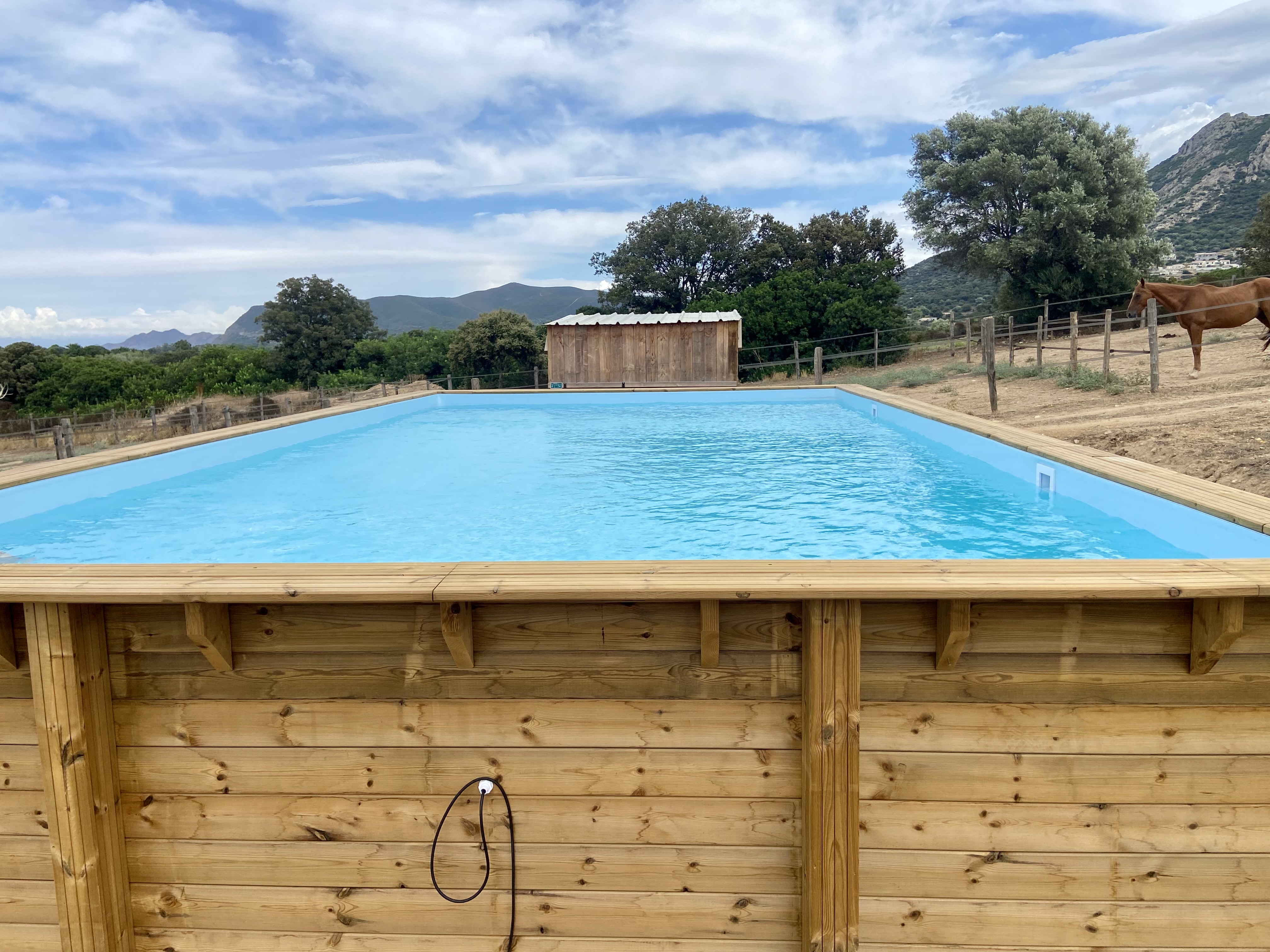 Un chalet romantique au cœur de la Corse à Occhiatana — détail architectural