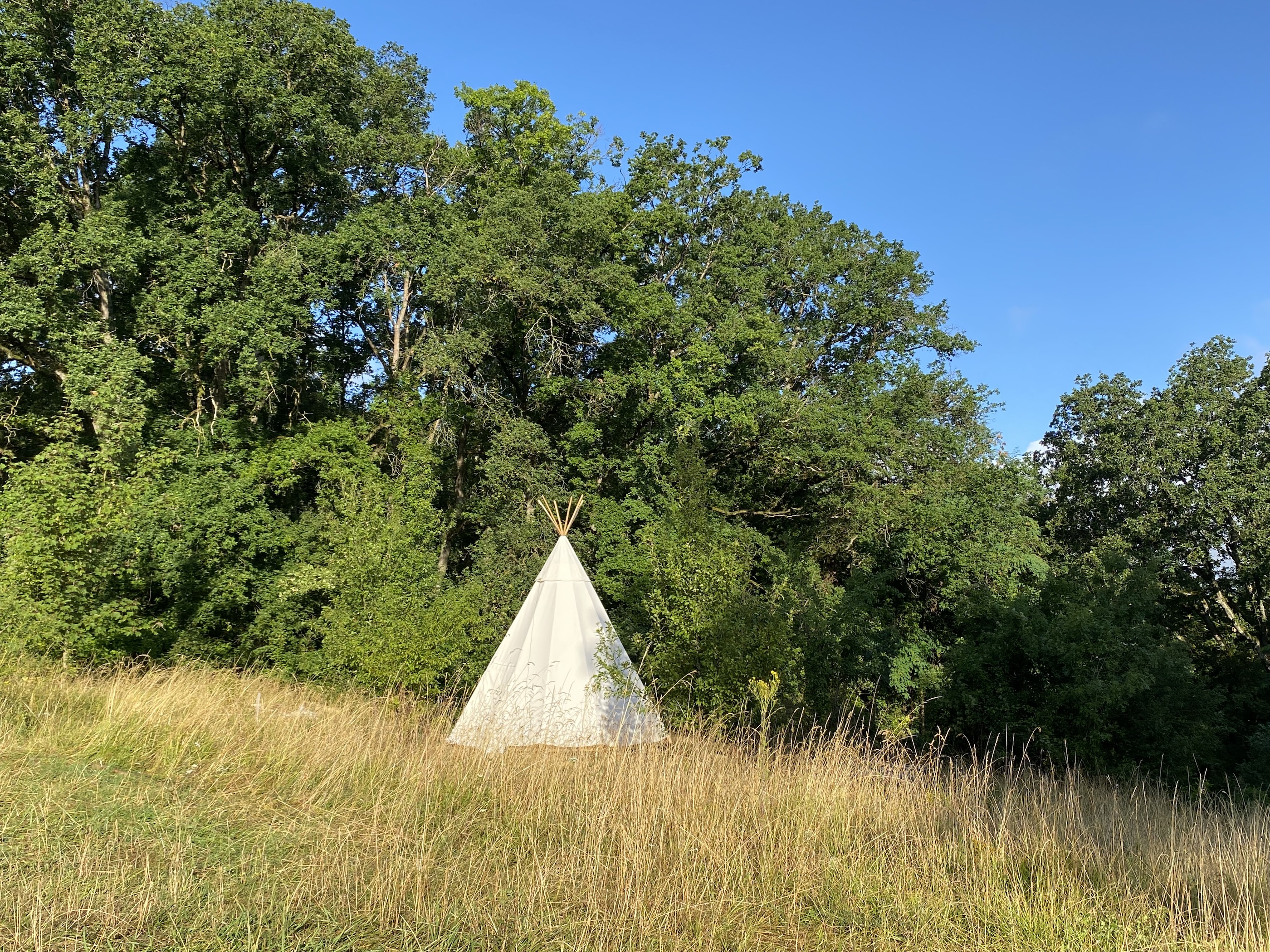 Le Tipidylle : un tipi enchanteur au cœur de la nature à Savonnières — vue intérieure