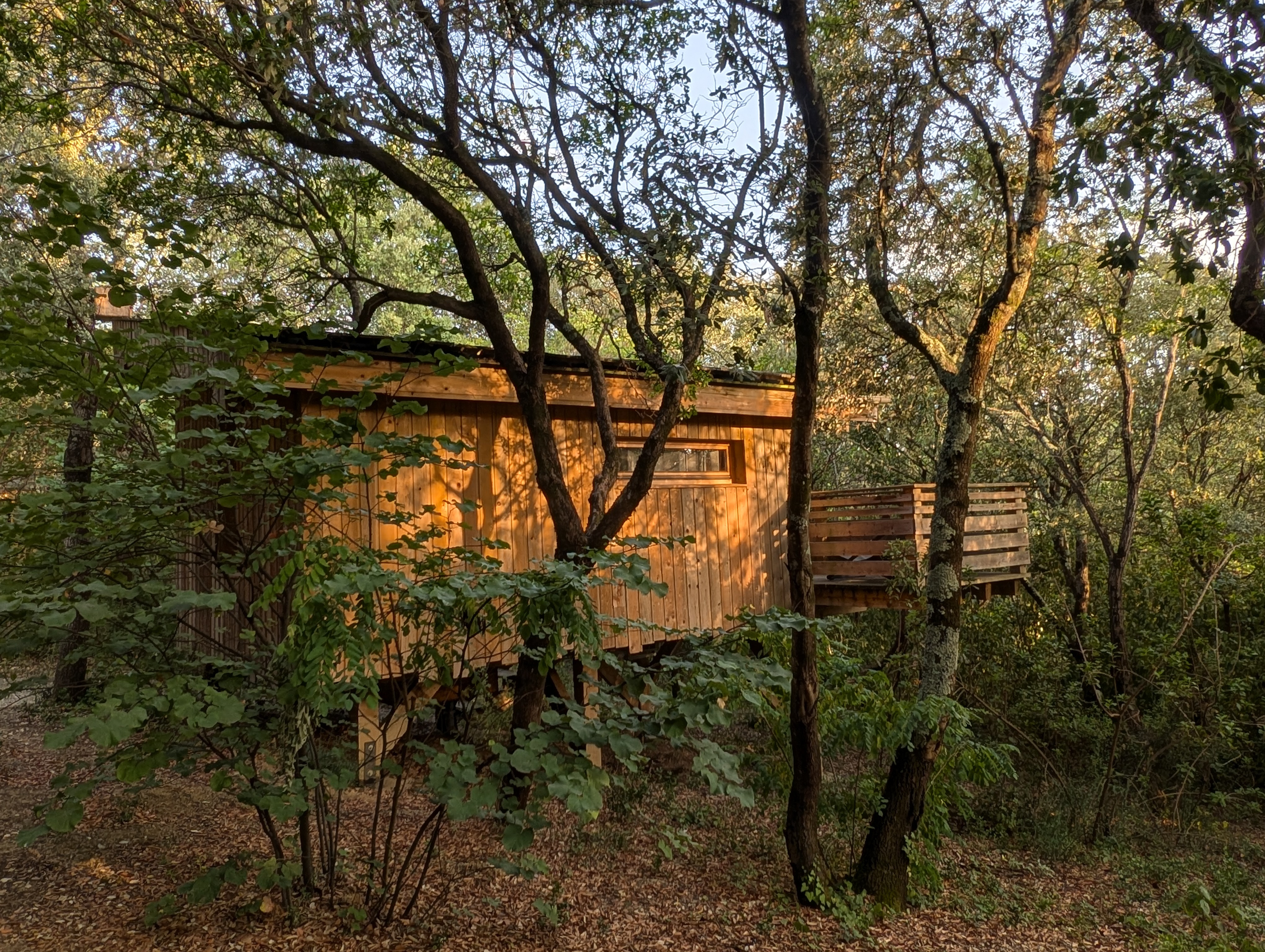 Cabane Cagna : une échappée sur pilotis en pleine nature