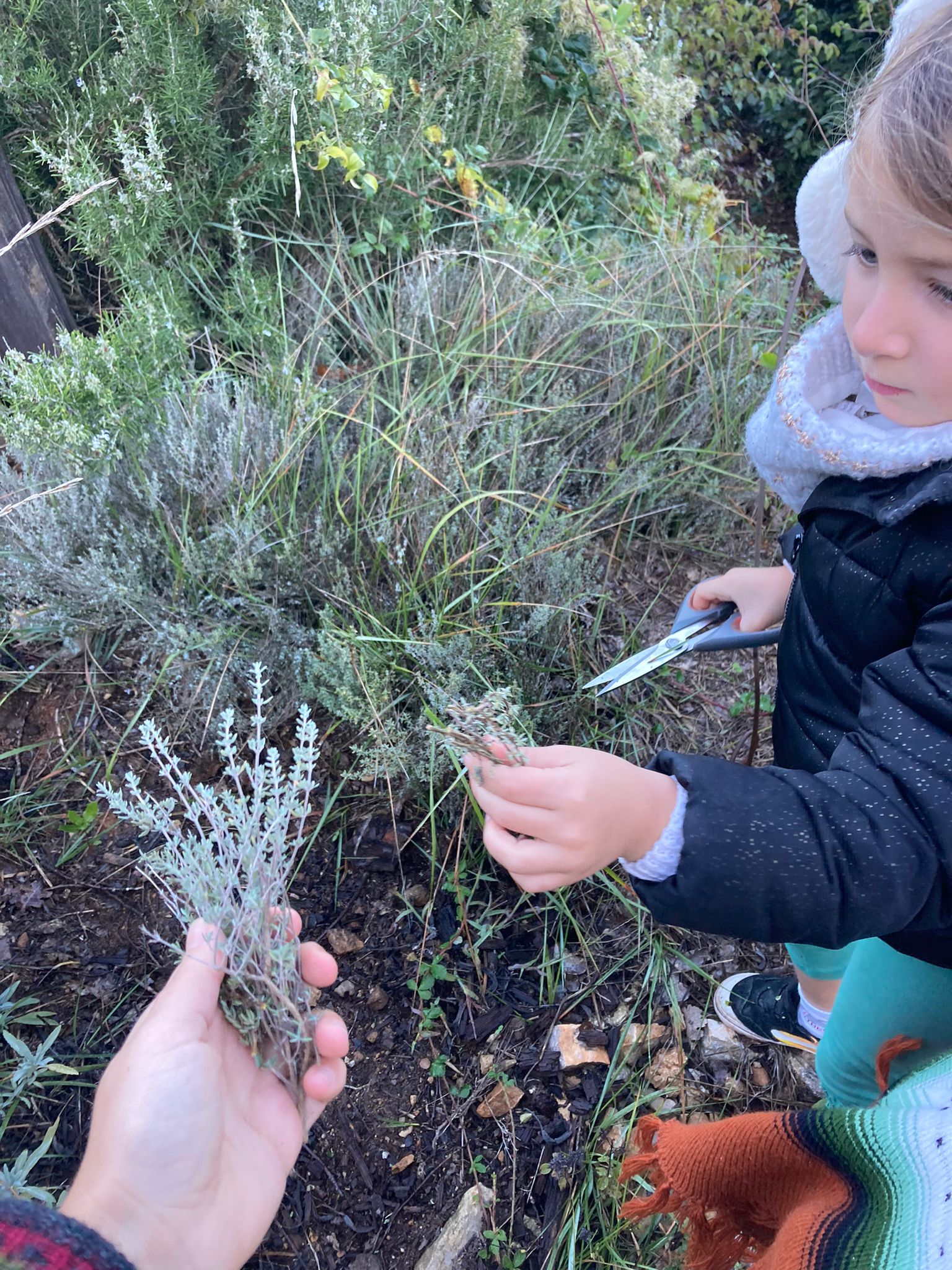 Cabayourte en Ecolieu — Yourte avec spa à La Mauvaise Herbe, Var à La Mauvaise Herbe — salle de bain