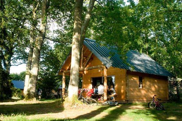 Cabane Forêt Rillé n°2 : une immersion dans la nature à Rillé — vue intérieure