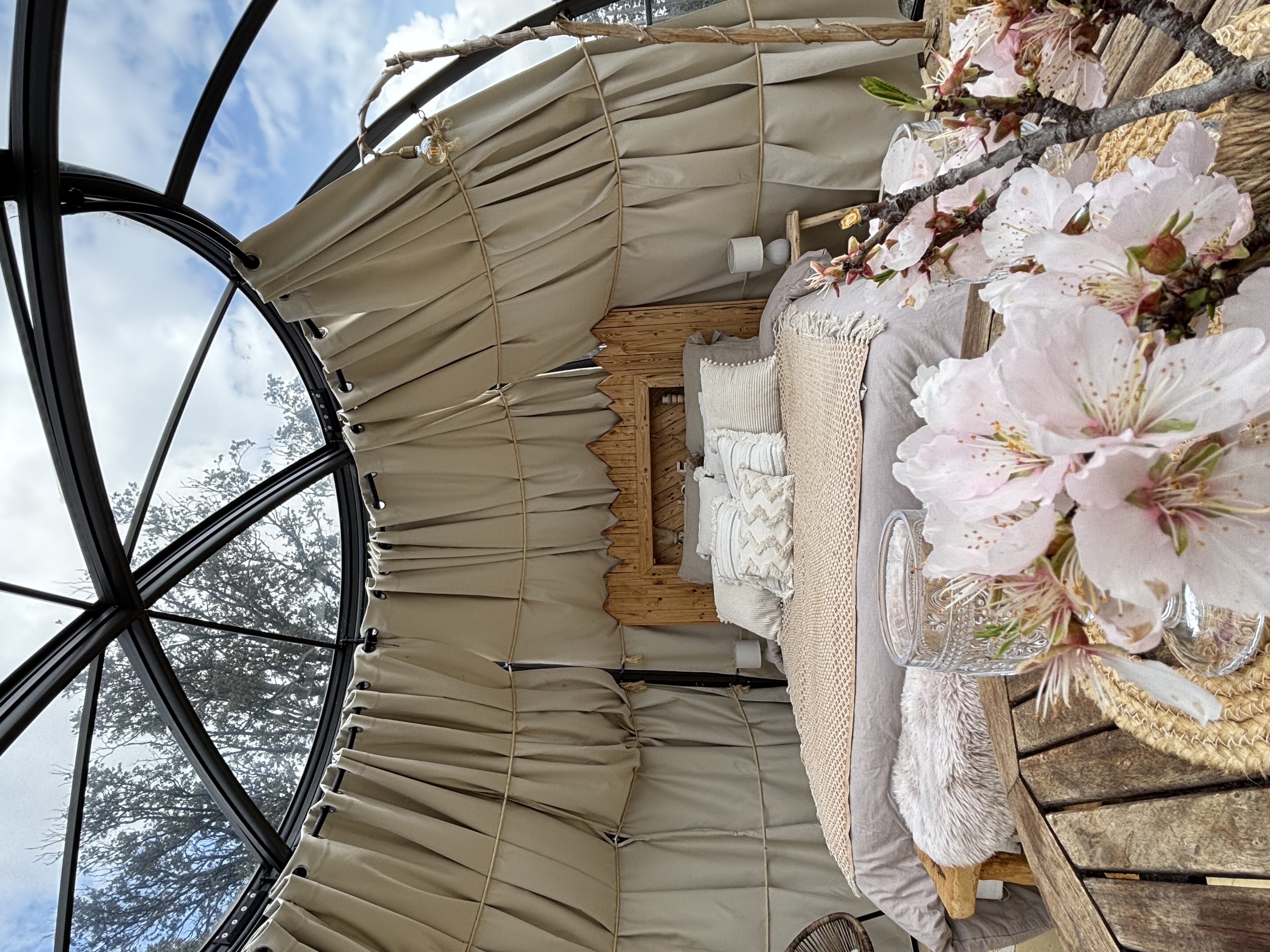 Dôme étoilé & Spa privatif — Nuit sous les étoiles en Haute-Corse à Bastia — environnement naturel