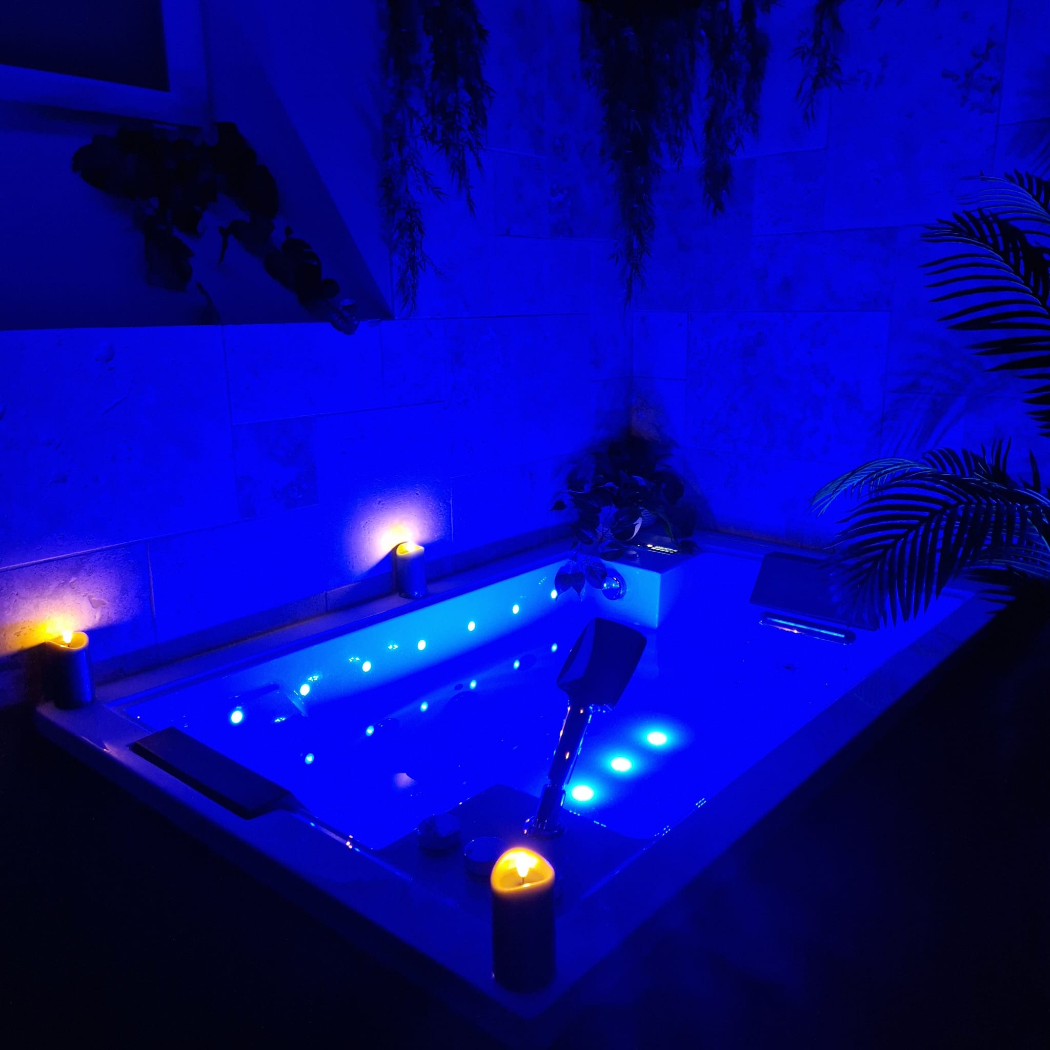 Jungle Room & Spa — Hébergement insolite avec balnéothérapie à Puy-de-Dôme à Orcines — salle de bain