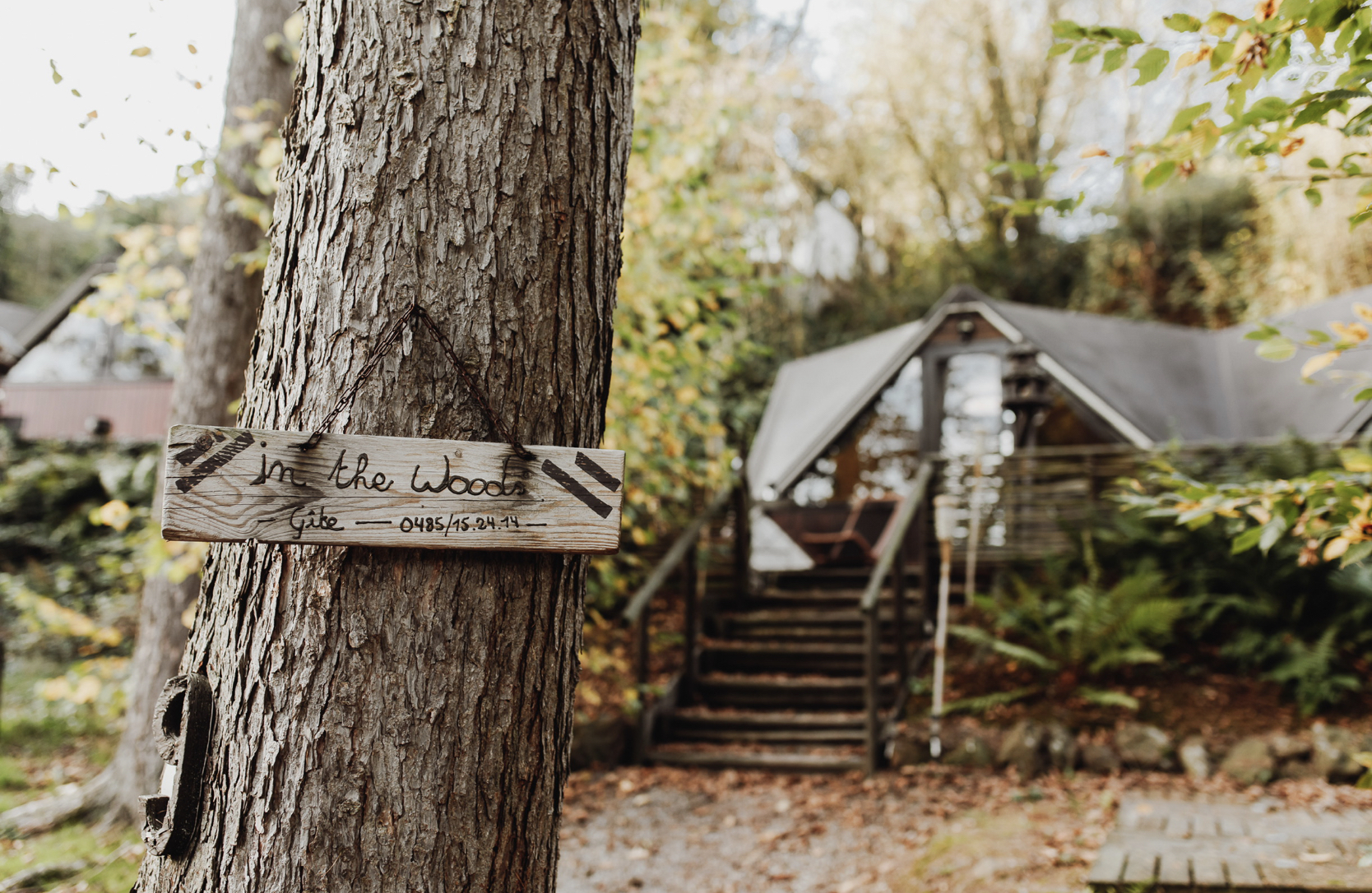 Chalet scandinave au cœur des bois de Gesves à Gesves — espace de vie
