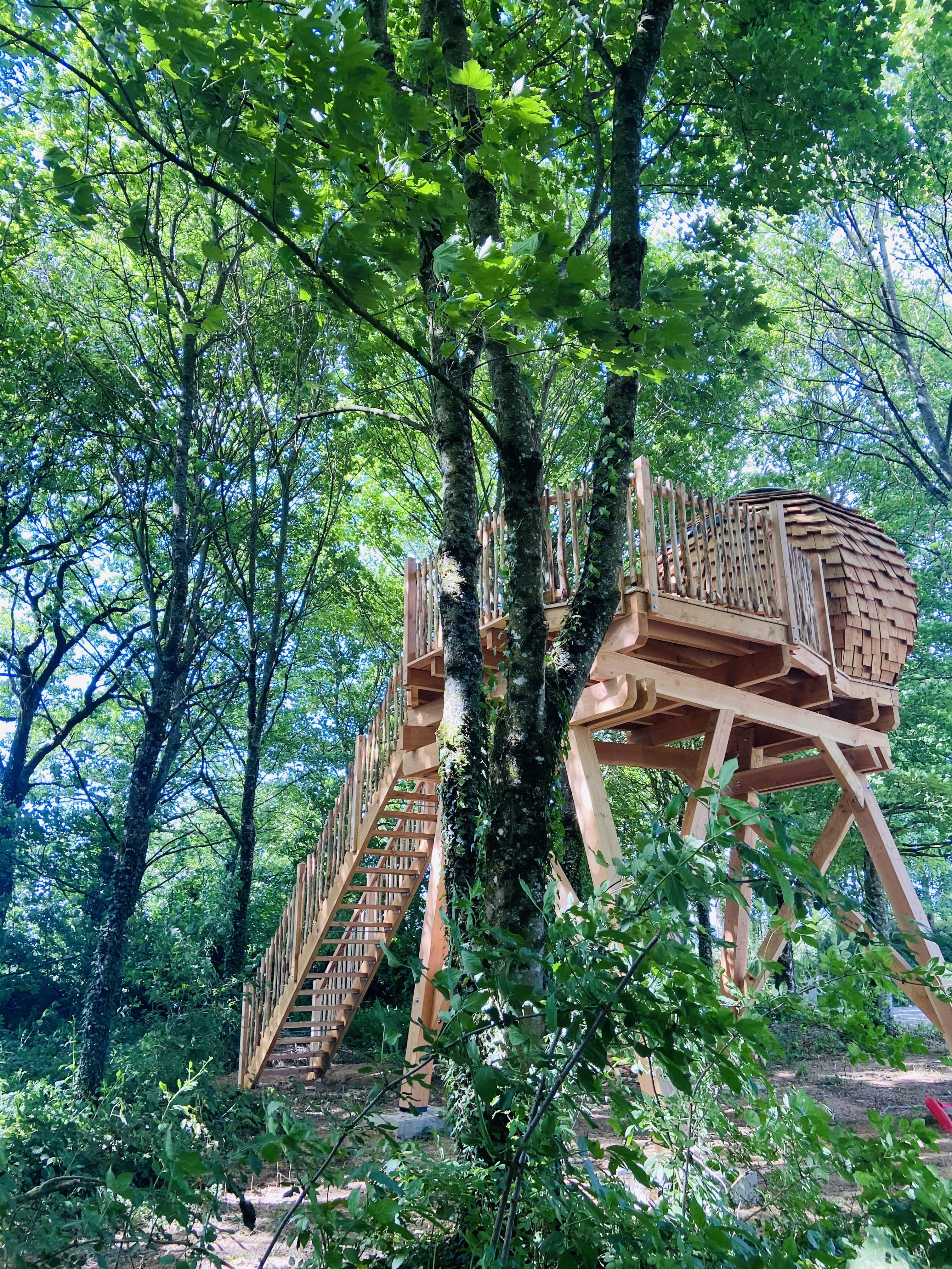 La tête dans les étoiles : Lov'nid en Bretagne à Guerlédan — vue intérieure