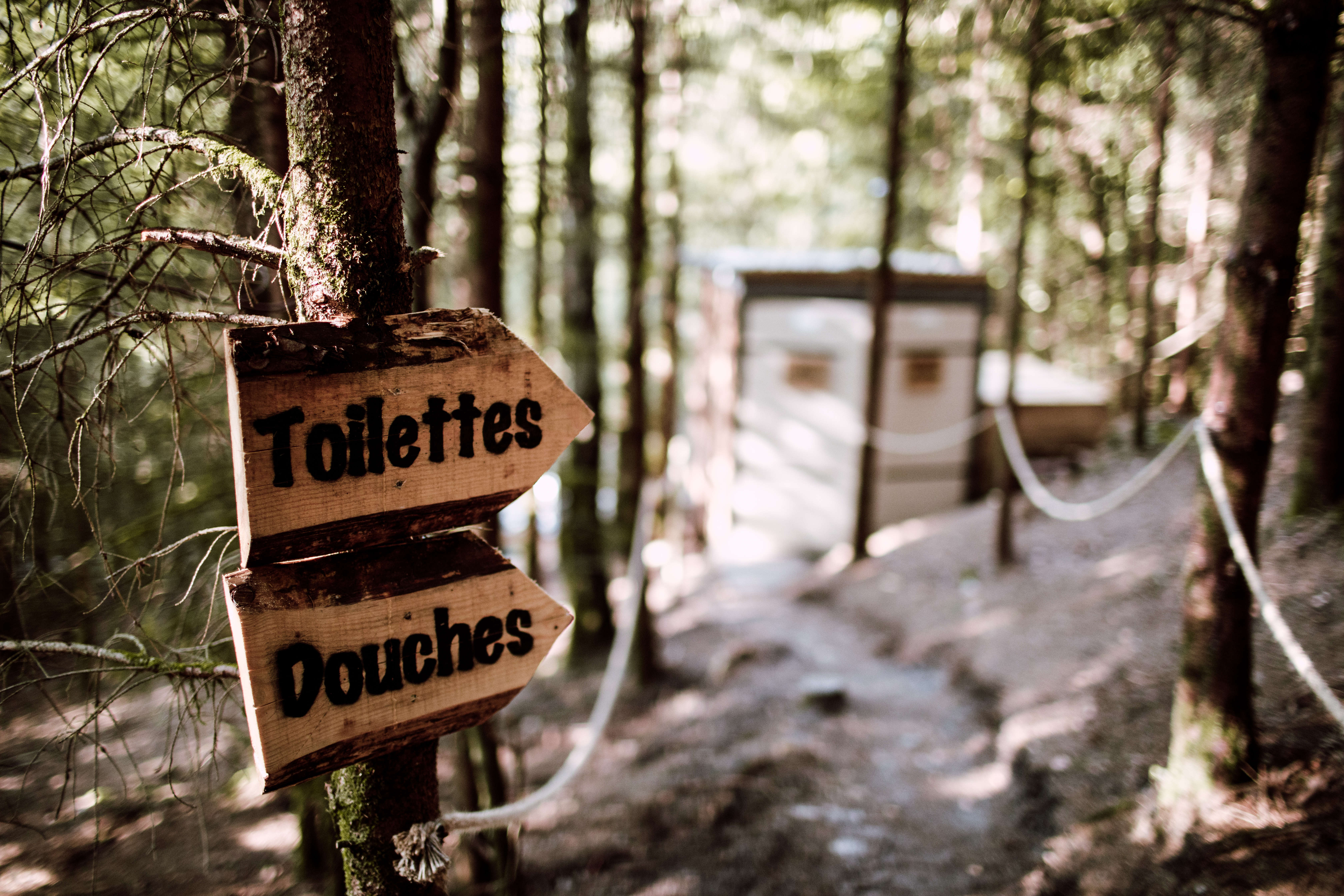 Dôme L'étoile — Séjour écologique sous les étoiles à Vosges à Épinal — environnement naturel