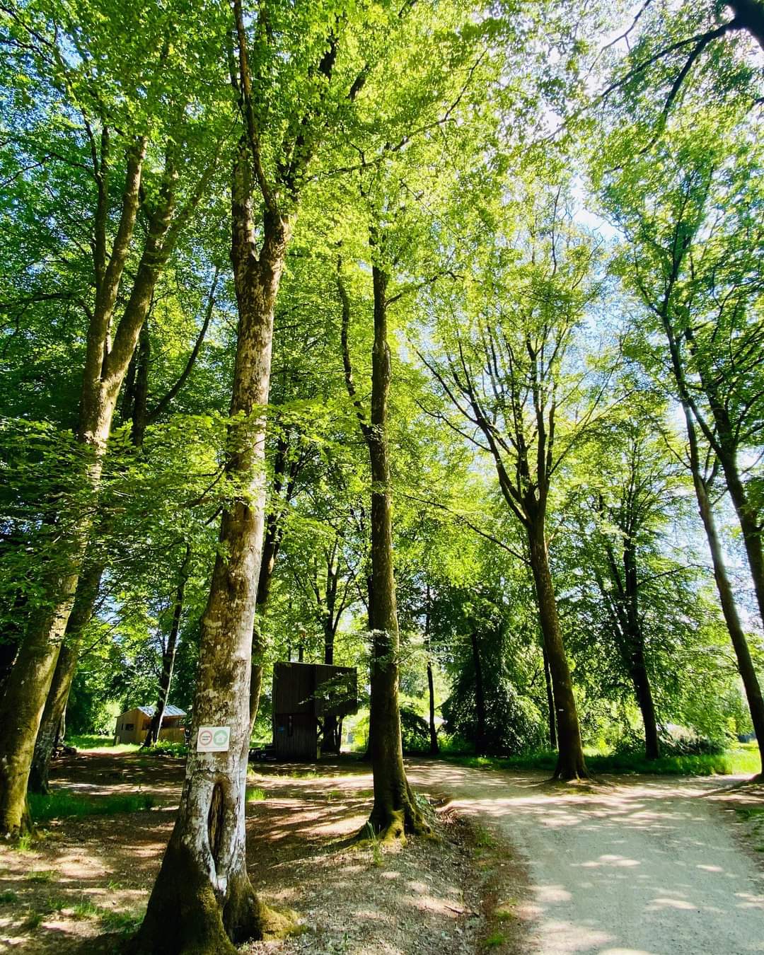 Évasion en cabane sur pilotis en Basse-Normandie à Saint-Sever-Calvados — environnement naturel