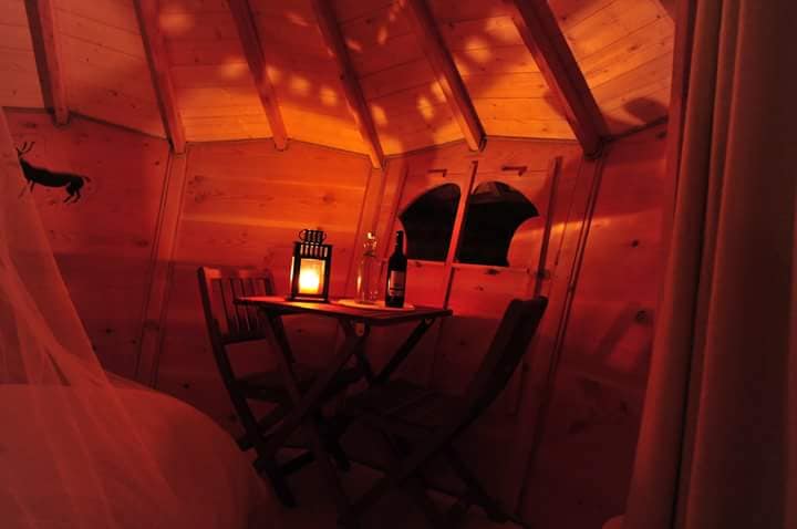 Une cabane sur pilotis : Le Petit Toit du Monde en Alsace à Grandfontaine — cuisine