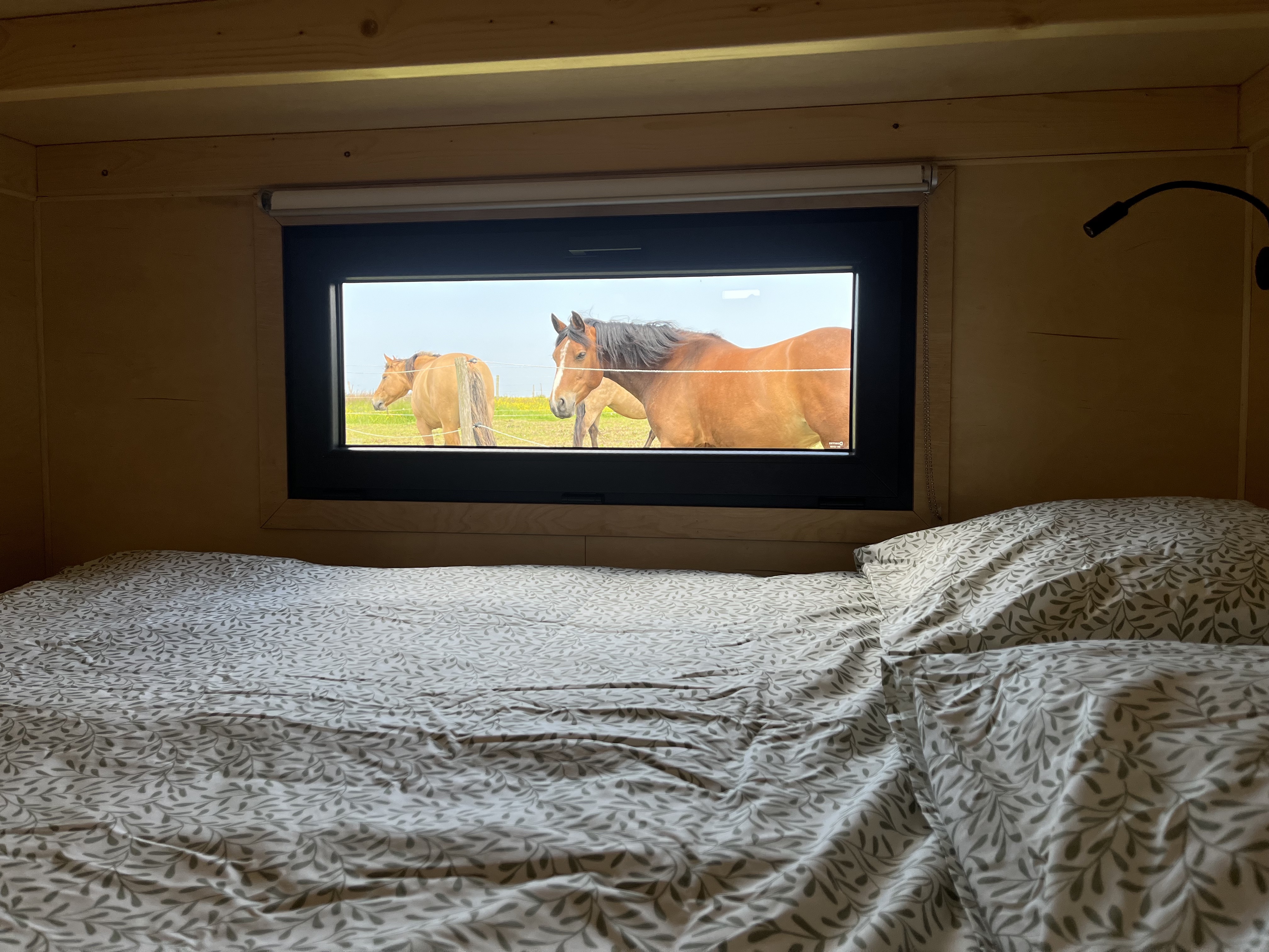Tiny House La Cavalerie : une évasion en pleine nature à Etretat — vue depuis la terrasse