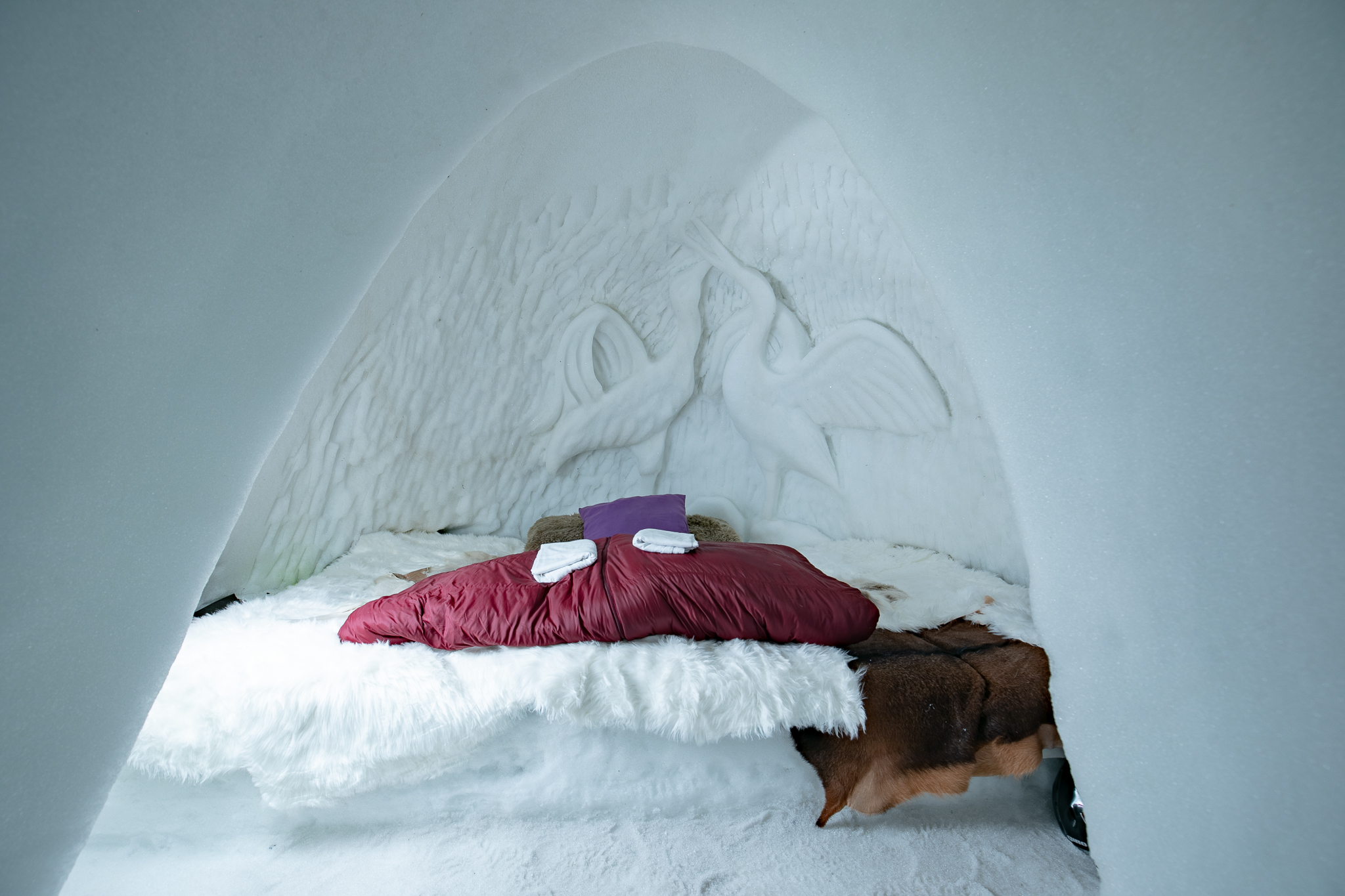 Village Igloo Val Thorens — Nuit insolite dans un igloo à Val Thorens — Igloo à Les Belleville