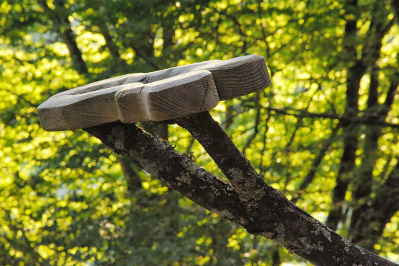 Cabane Canopée : une immersion dans les arbres en Franche-Comté à Ranchot — salle de bain
