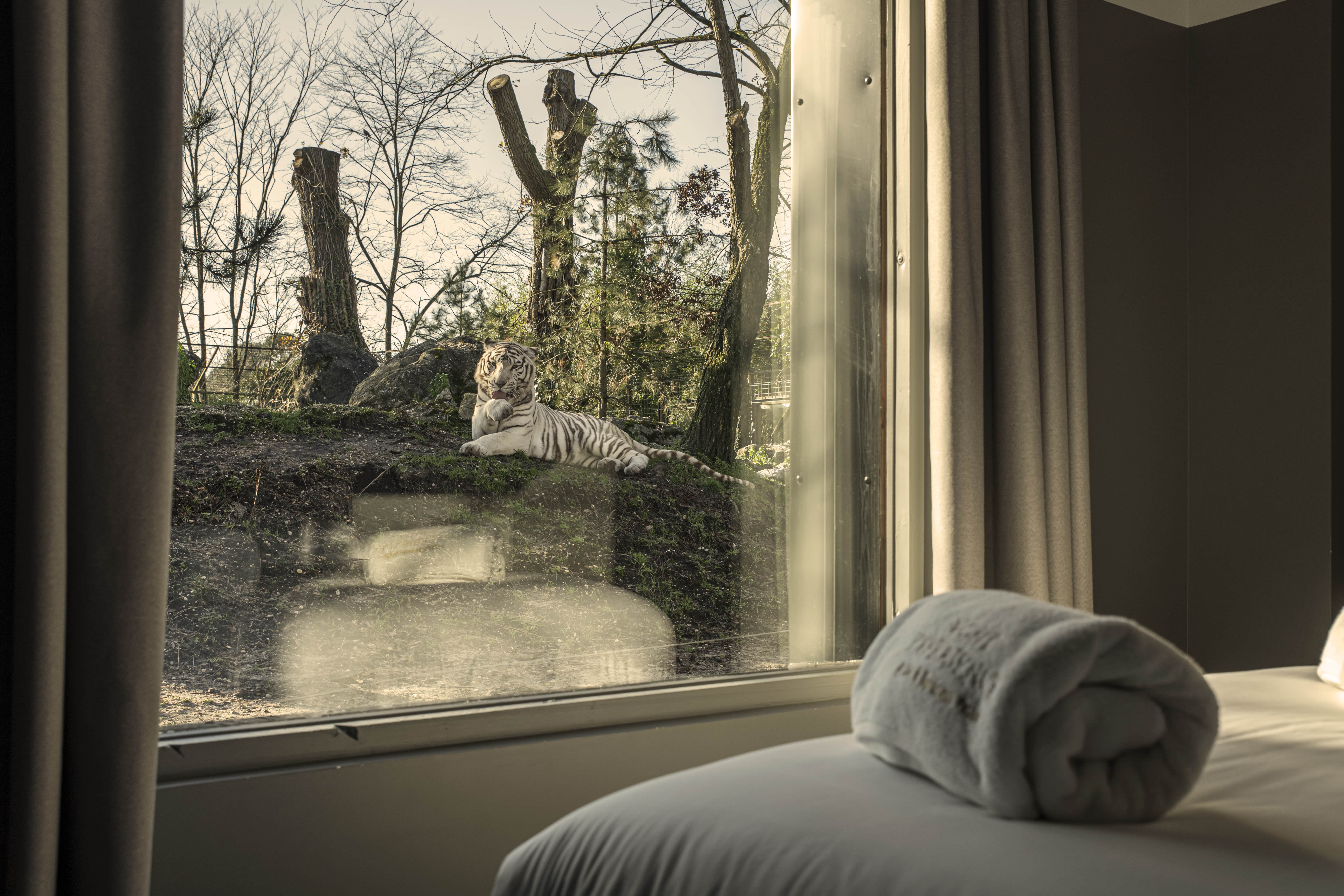 Lodge Tigre blanc : une immersion thématique en Aquitaine à Pessac — vue intérieure