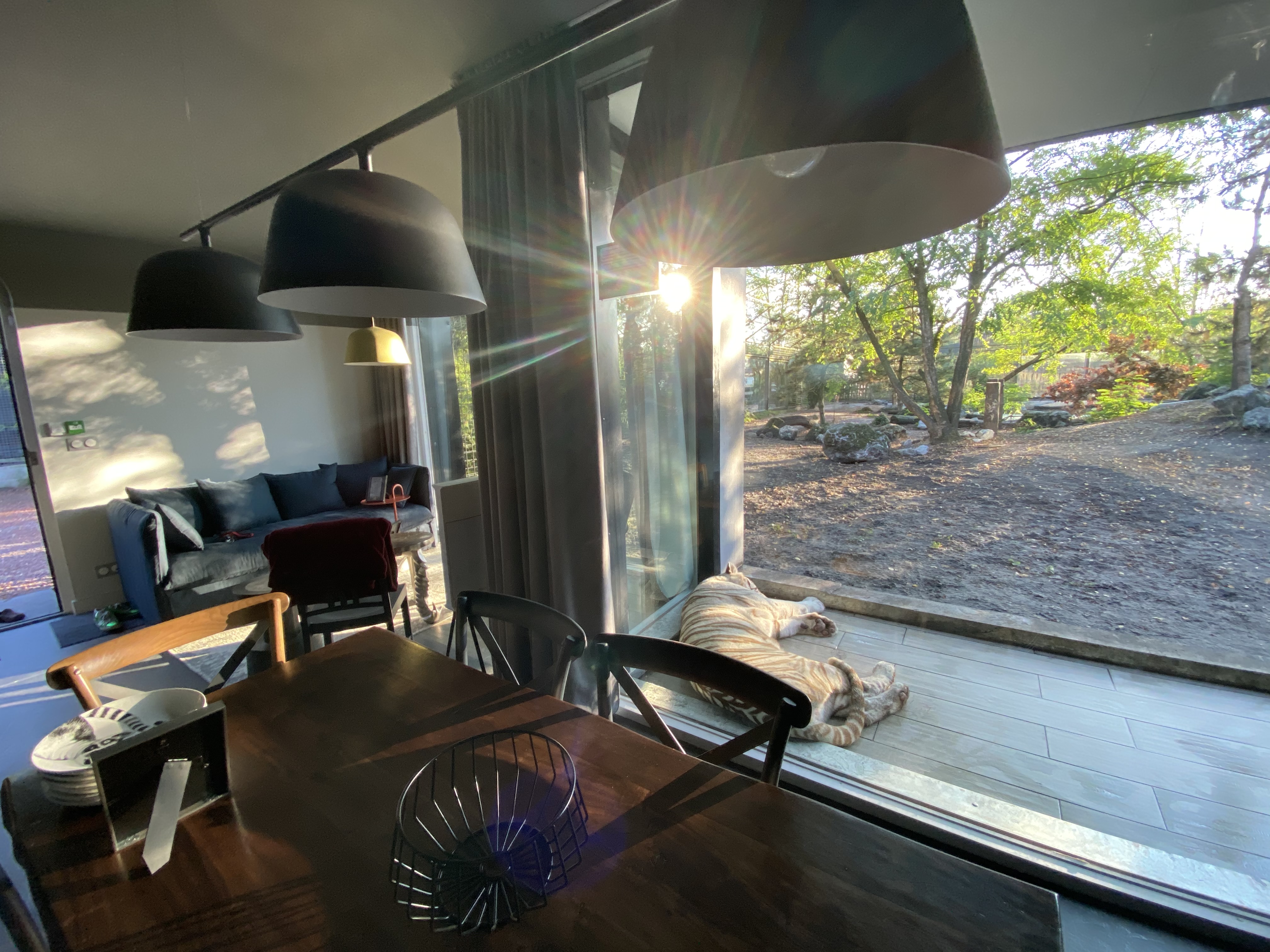 Lodge Tigre blanc : une immersion thématique en Aquitaine à Pessac — chambre
