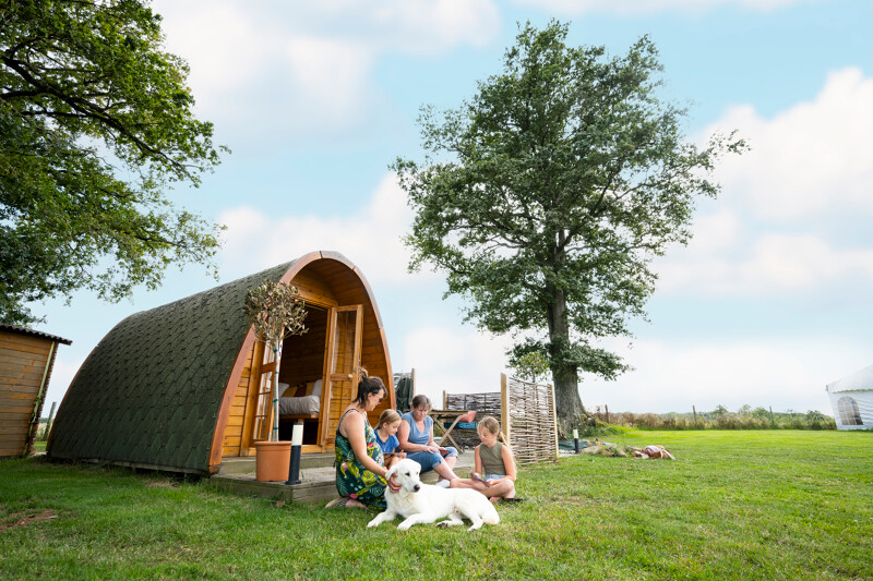 Pod - Sous les chênes — Cabane avec spa à Mayenne à La Préhouillère — environnement naturel