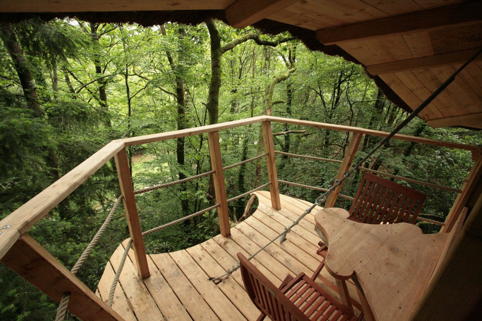La Cabane Roch'ell : une expérience suspendue dans les arbres
