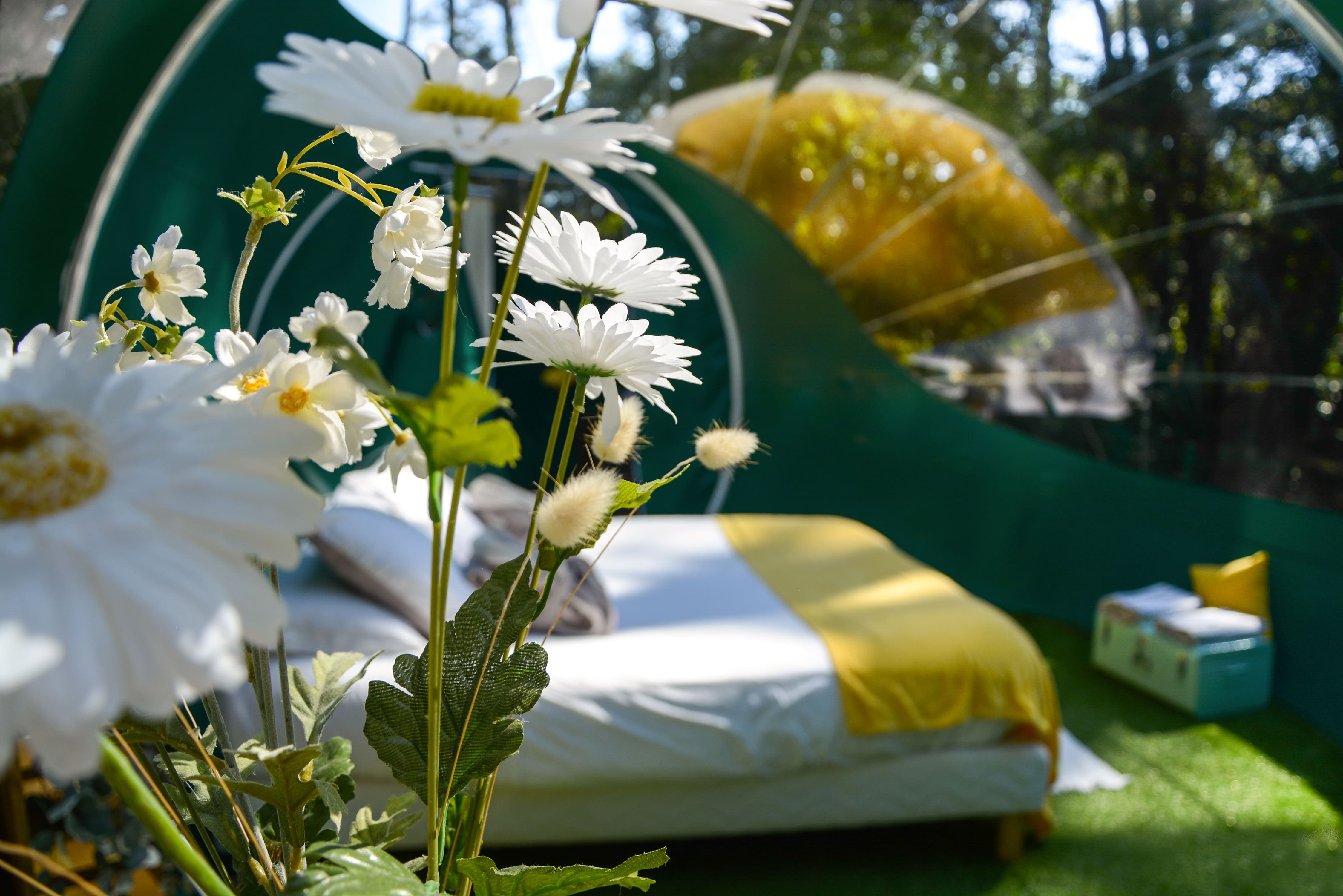 Bulle Verte d'Hossegor & Spa