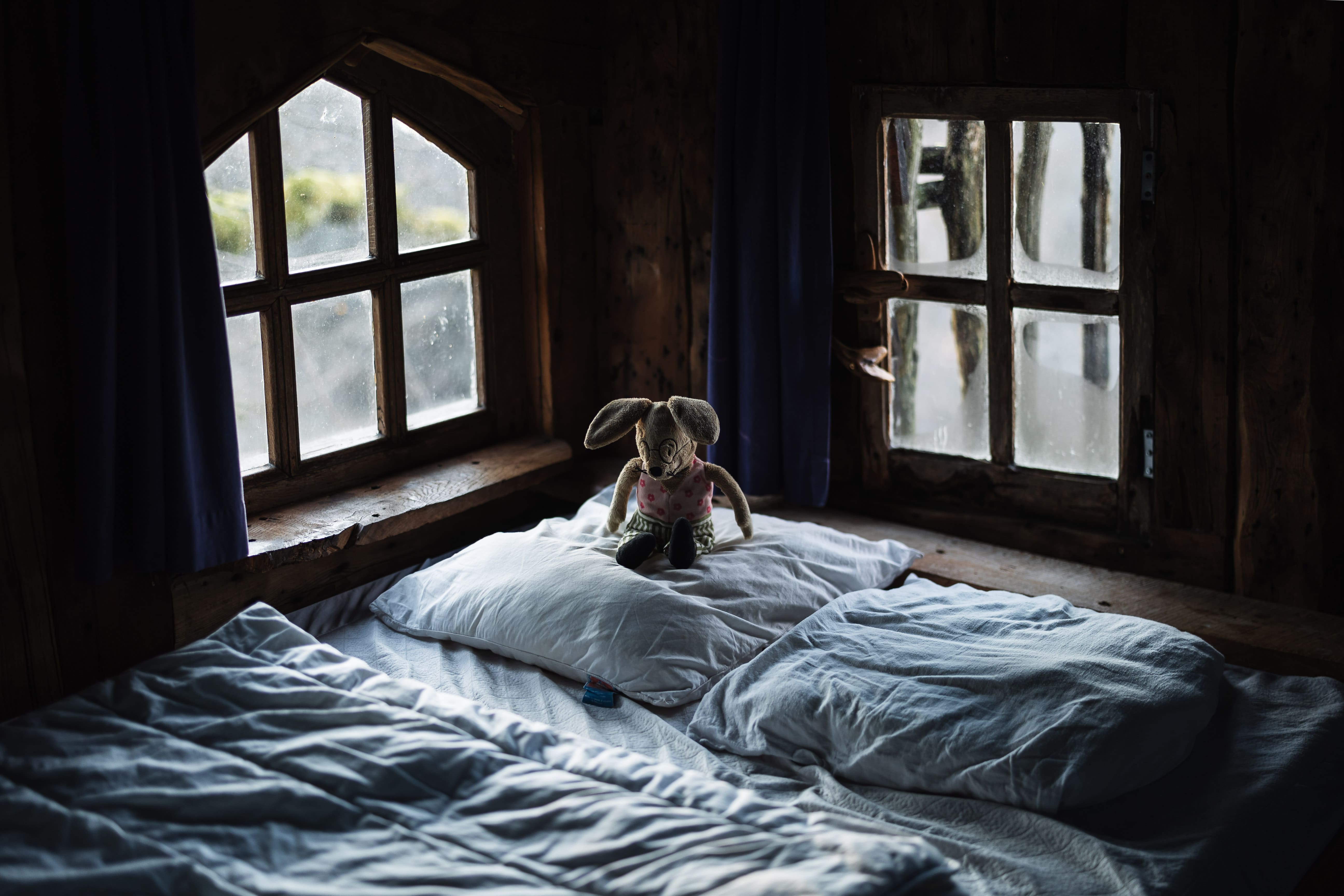 La cabane Margo — Cabane dans les arbres avec spa à Sexcles (Corrèze) à Sexcles — chambre