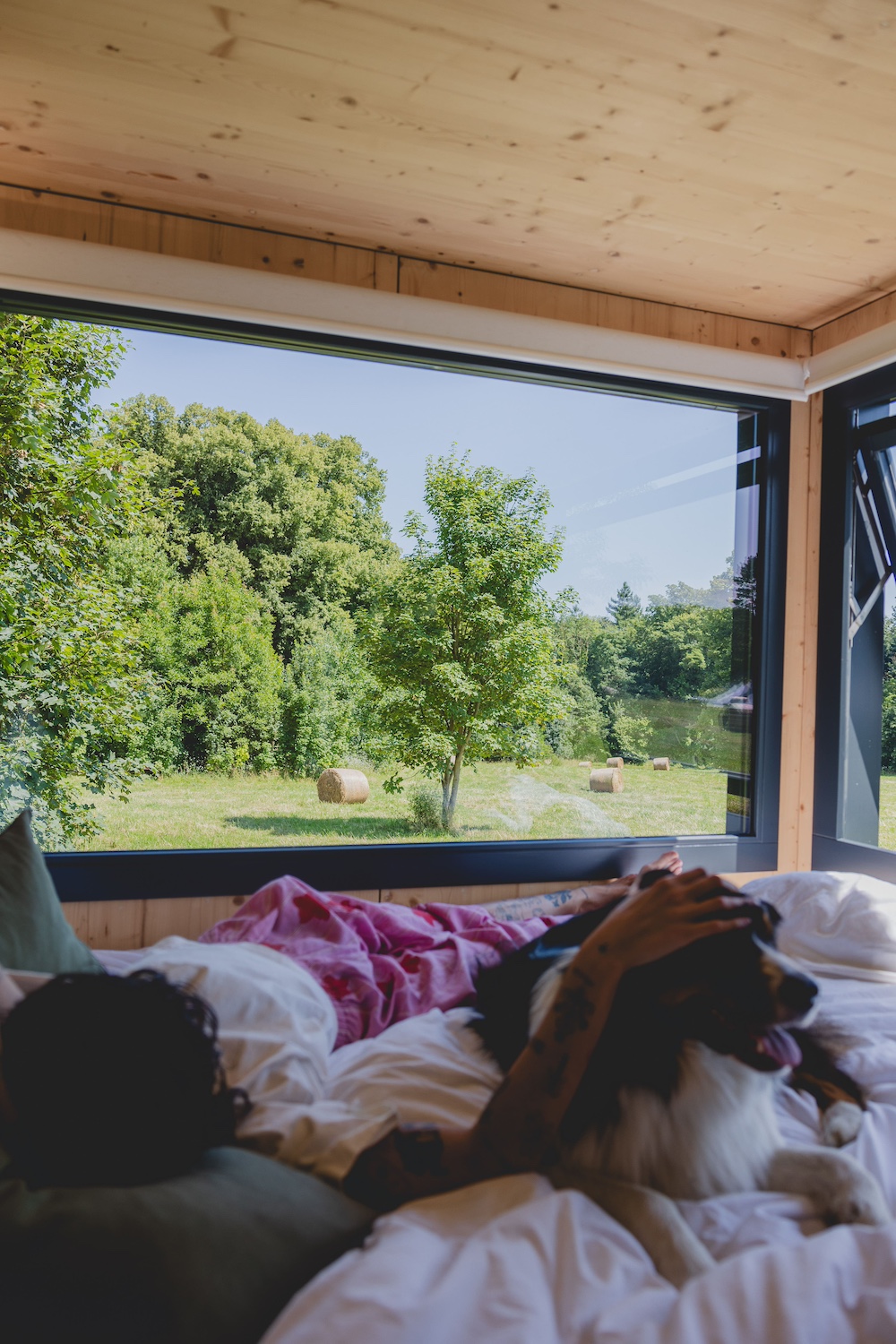 Parcel Tiny House — Séjour écoresponsable avec spa à Aisne à Neufchâtel-sur-Aisne — vue depuis la terrasse