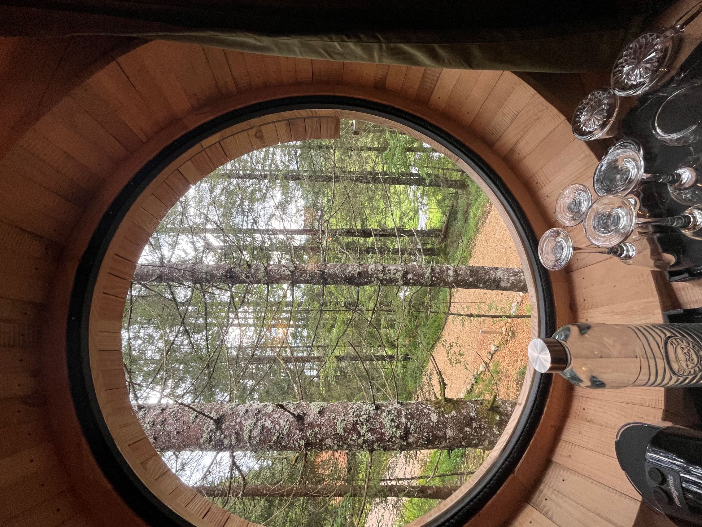 Cabane La Seignette : une expérience sensorielle en Franche-Comté à Petite Chaux — vue depuis la terrasse