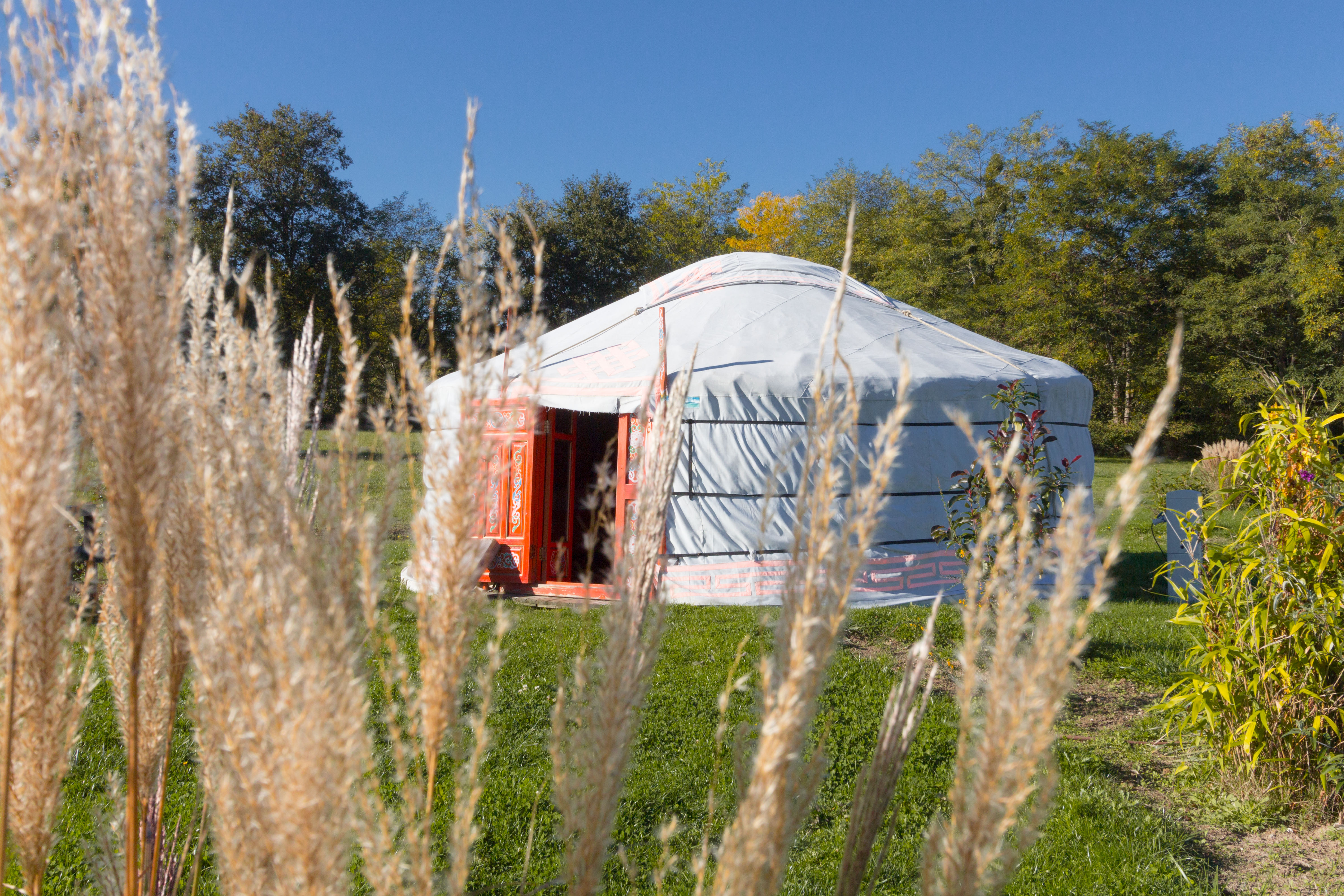 Évasion en yourte mongole au cœur de l'Aquitaine à Le Nizan — espace de vie