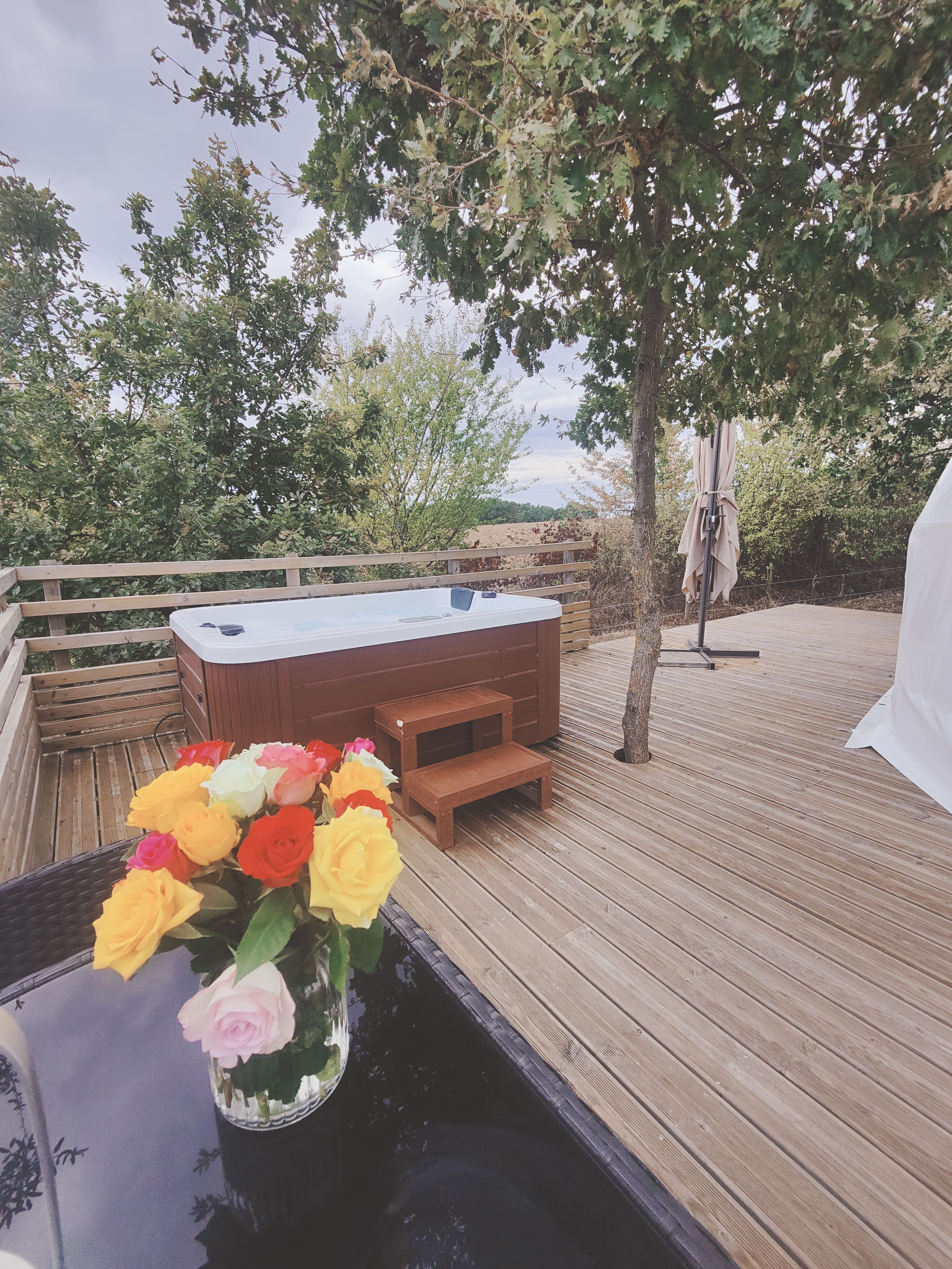 Dôme Évasion — Nuit étoilée avec spa à Lot-et-Garonne à Agen — salle de bain