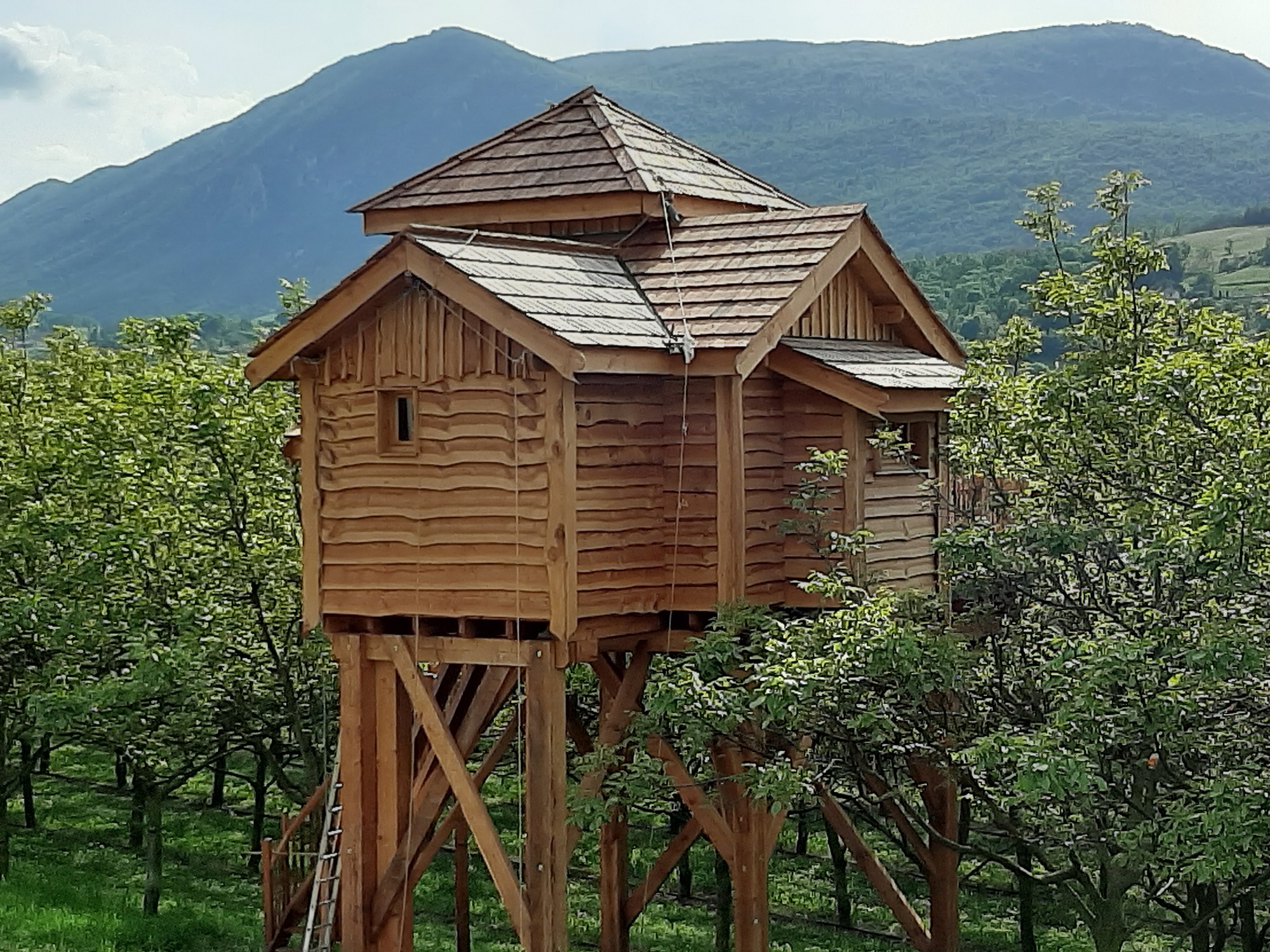 Le Nid du Pinson — Cabane dans les arbres avec spa à Vercornoix à Saint-Jean-En-Royans — espace de vie
