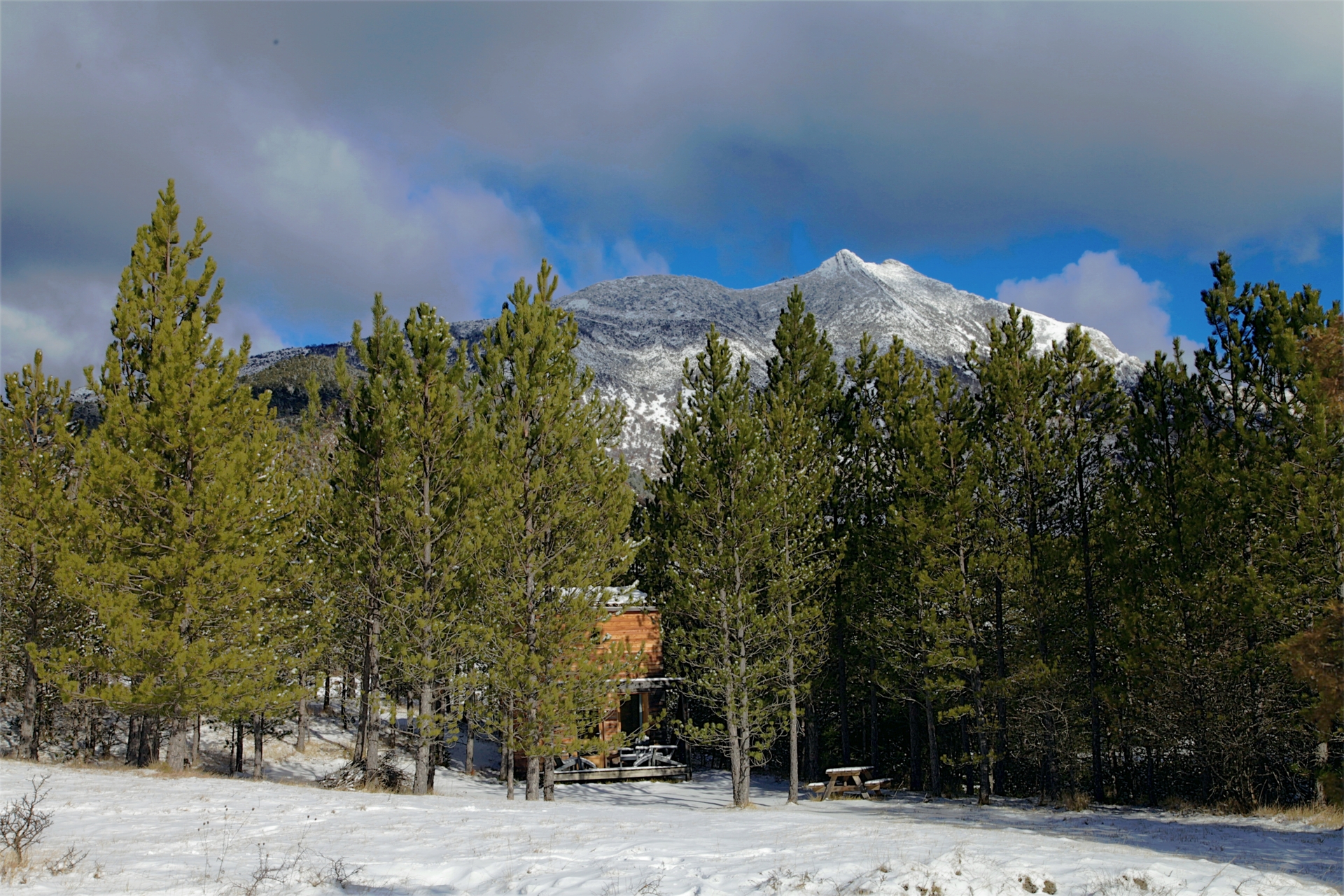 Pégase : une cabane en harmonie avec la nature à Ribeyret — détail architectural