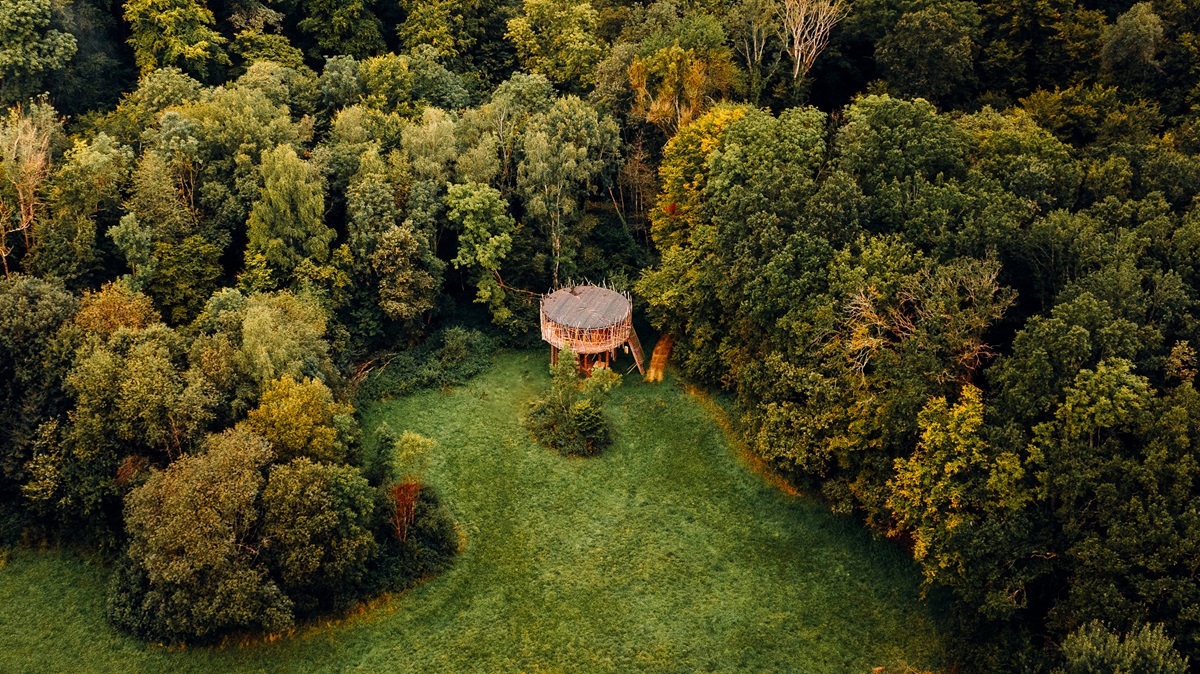 Cabane Spa Temps Suspendu : une immersion dans les arbres en Picardie à St-Léger-Aux-Bois — vue intérieure
