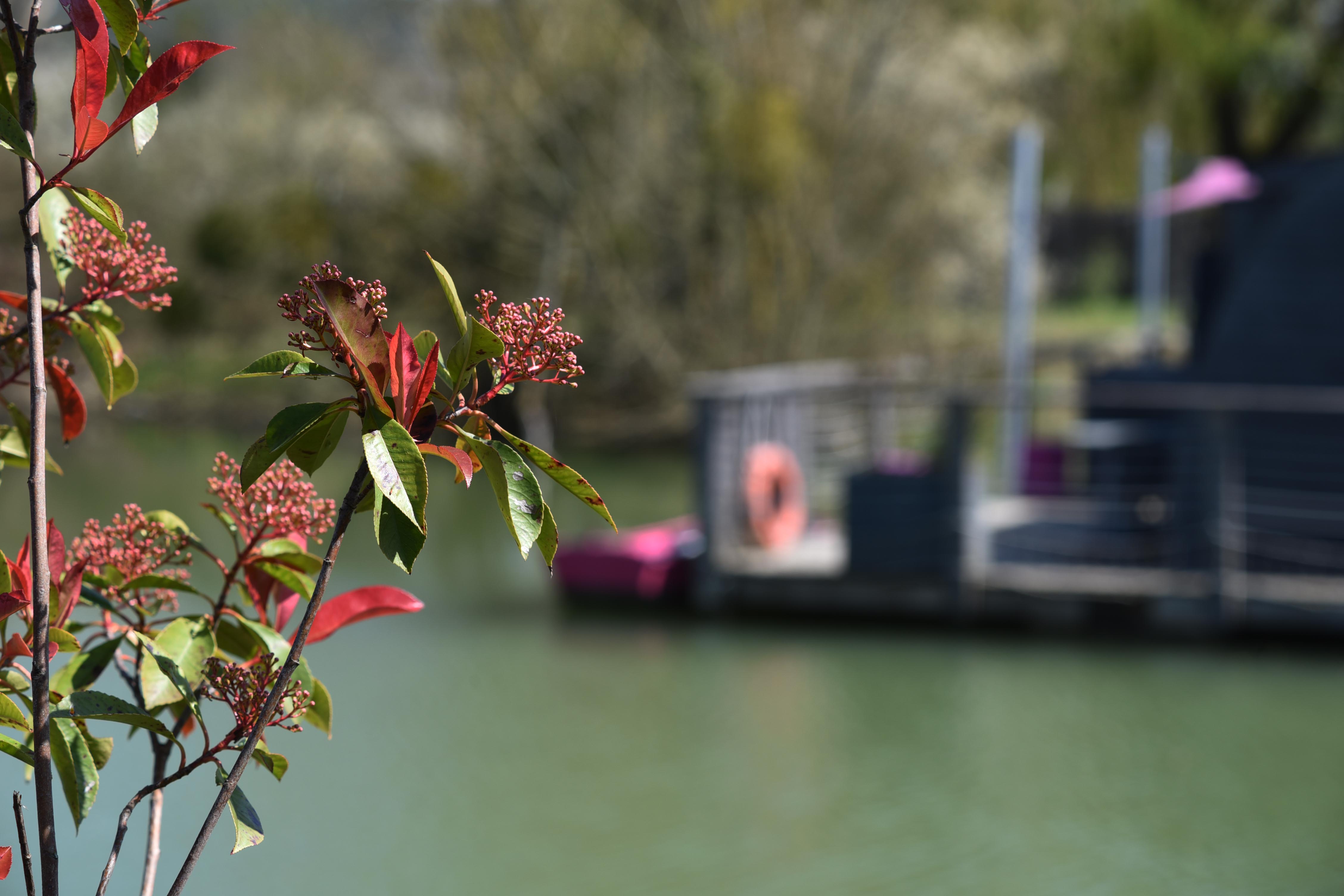 Lodge Duo Flottant Les Preuses : une évasion sensorielle en Bourgogne à Chablis — cuisine