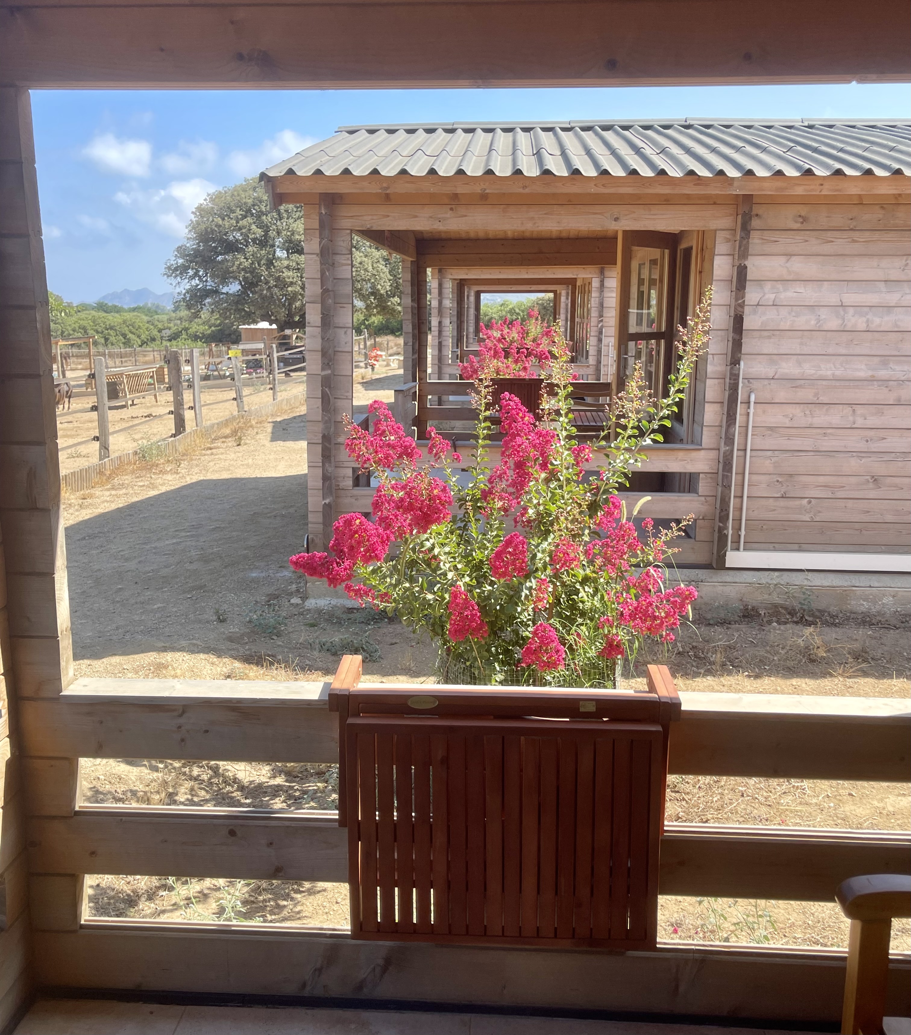 Un chalet romantique au cœur de la Corse à Occhiatana — vue intérieure