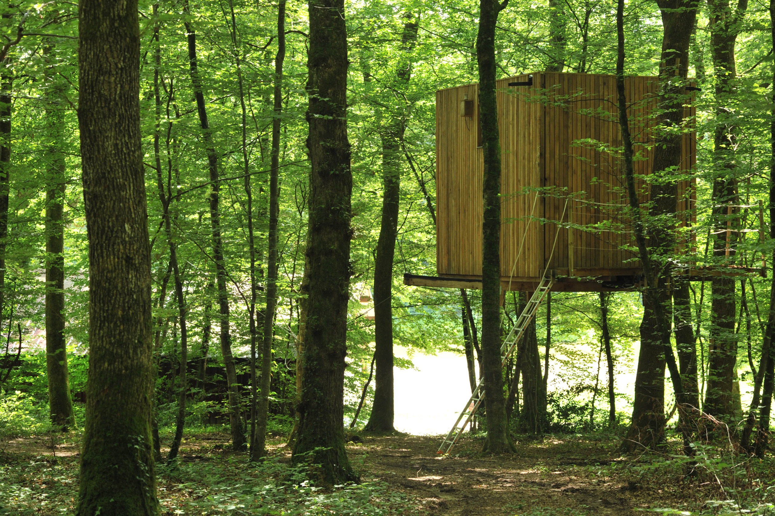 Cabane Ecureuil : une expérience suspendue dans les arbres à Mont Sous Vaudrey — vue intérieure