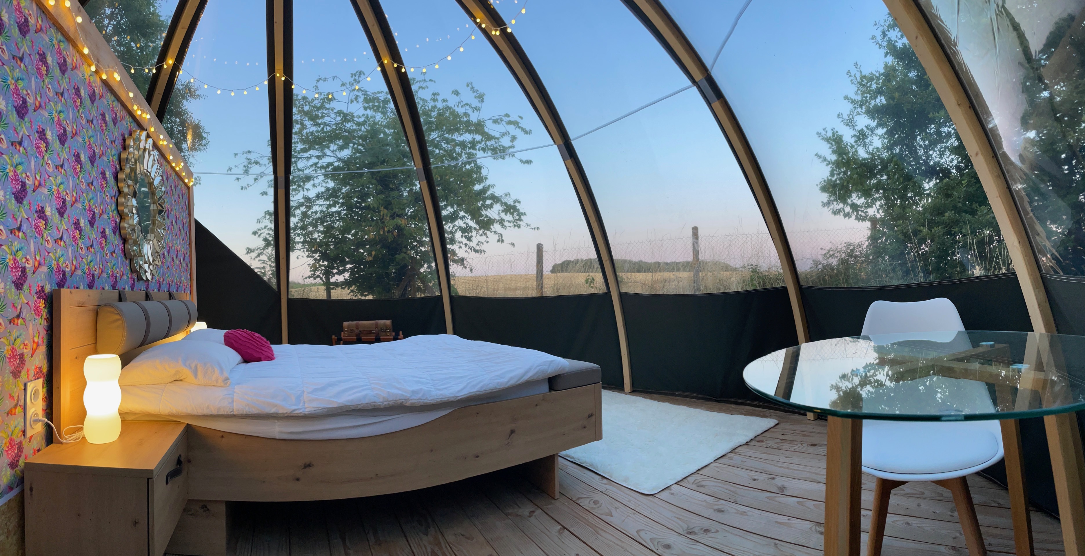 Le Dôme SPA étoilé : une expérience insolite en pleine nature à Descartes — chambre