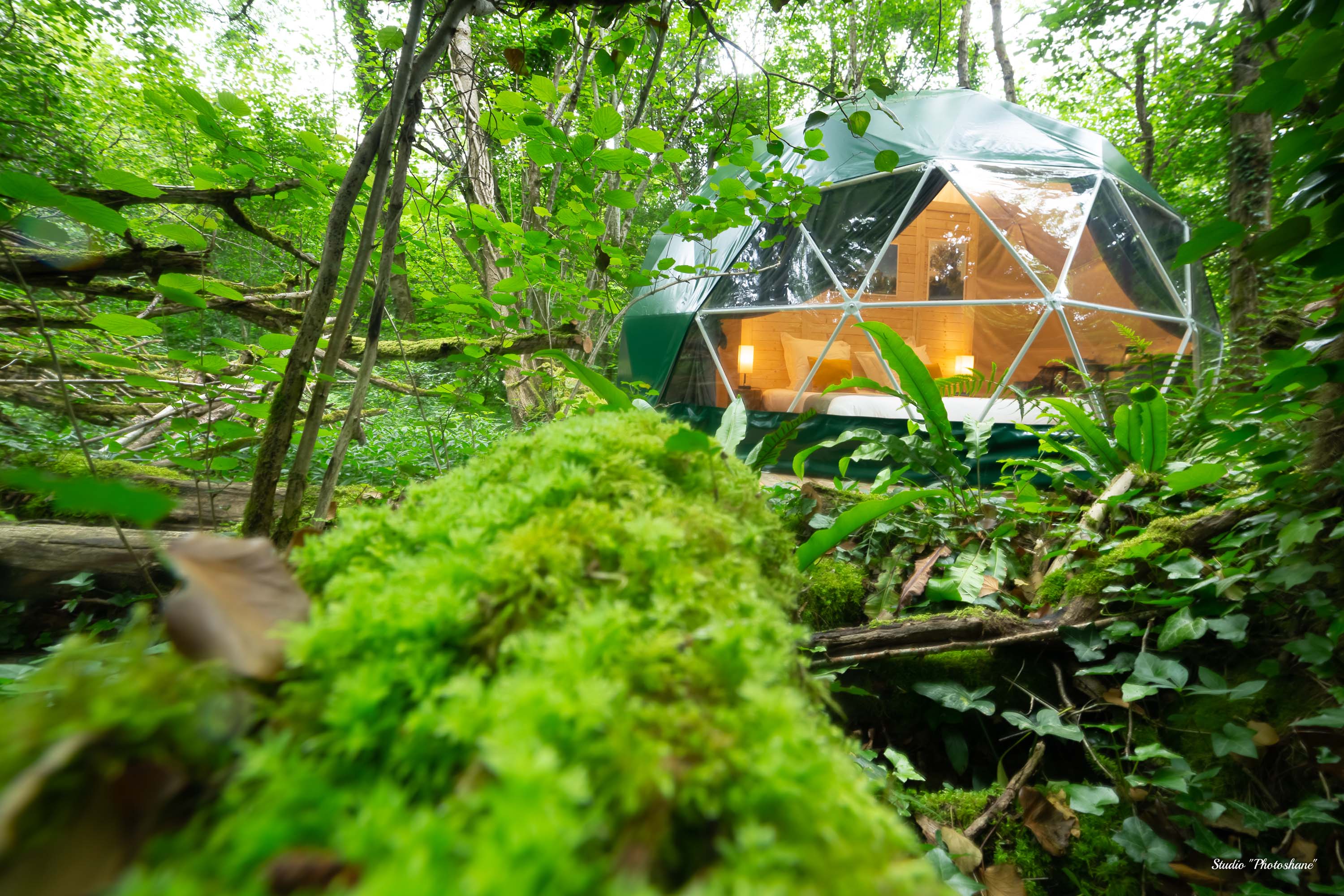 Géode Chêne Emeraude — Dôme avec spa à 180° sur la forêt en Gironde à La Teste-de-Buch — espace de vie