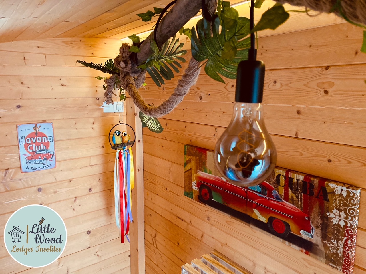 Chalet Havana : une évasion en pleine nature à Bailly-Aux-Forges — vue depuis la terrasse