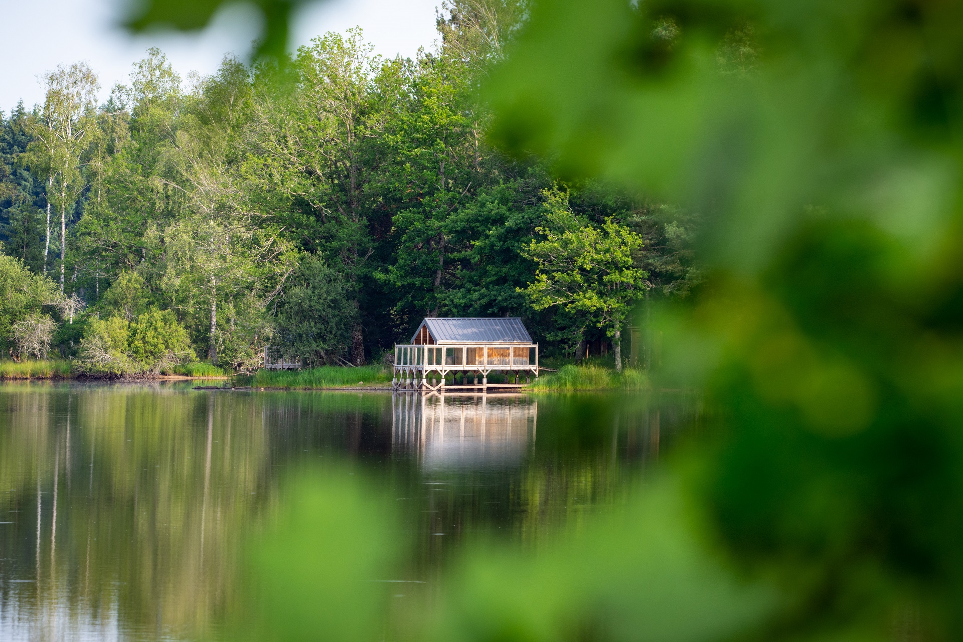 Cabane sur l'eau Aigrette : une expérience unique en Limousin — Cabane à Flayat