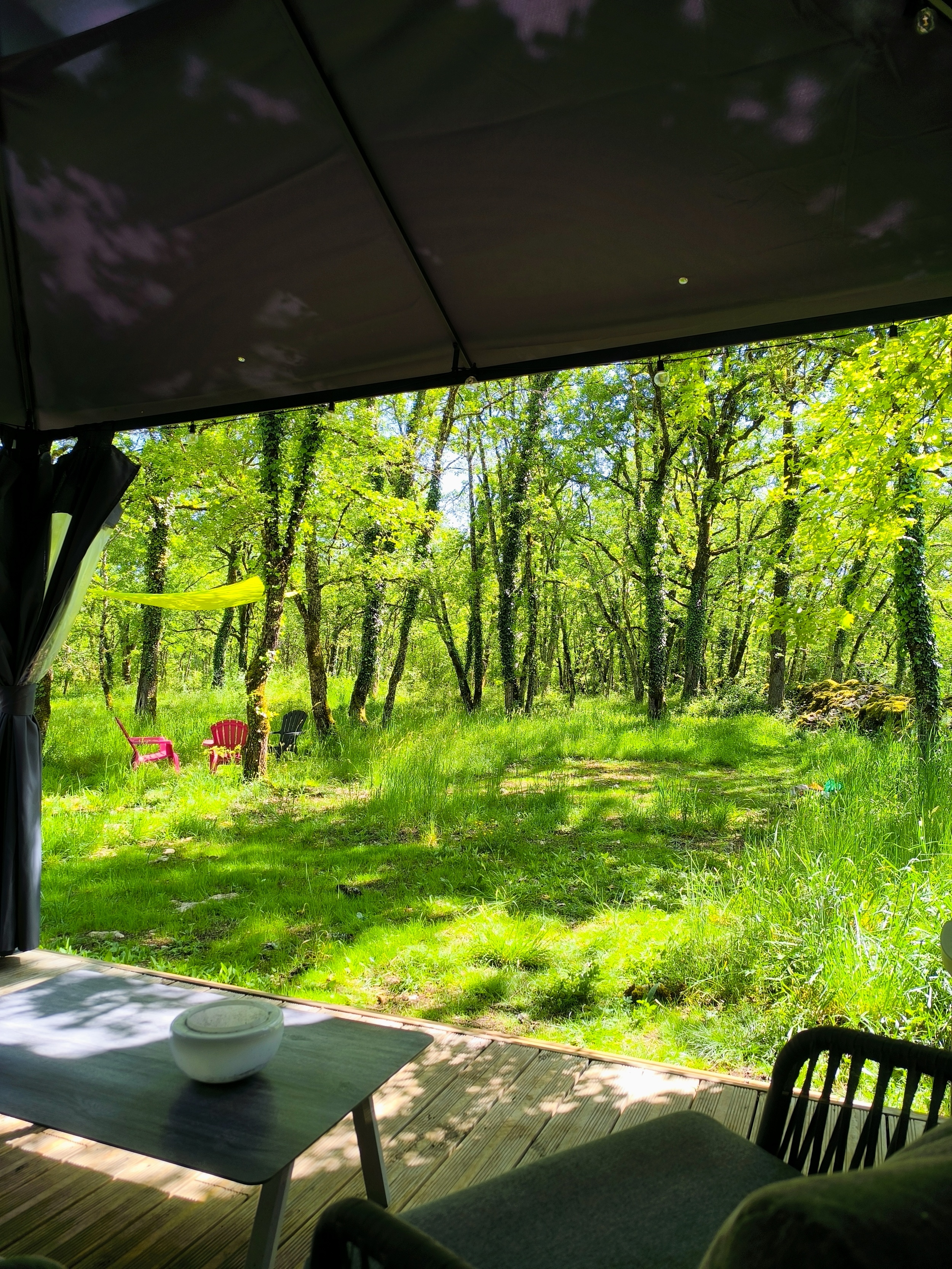 Le Refuge Des Bois de Morphée : une cabane immersive en pleine nature à Escamps — vue intérieure