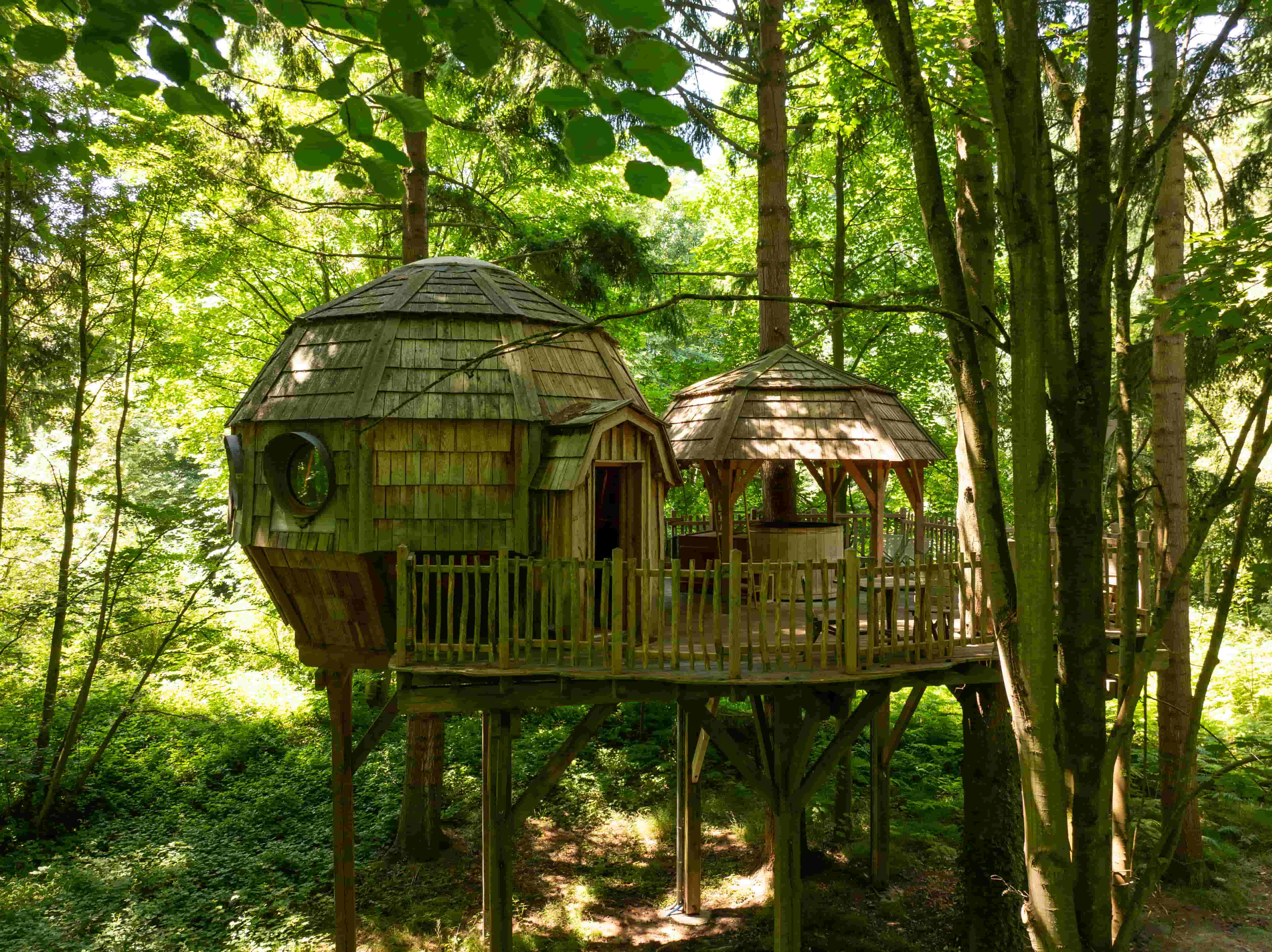Cabane Spa Coupole : une immersion dans les arbres en Picardie