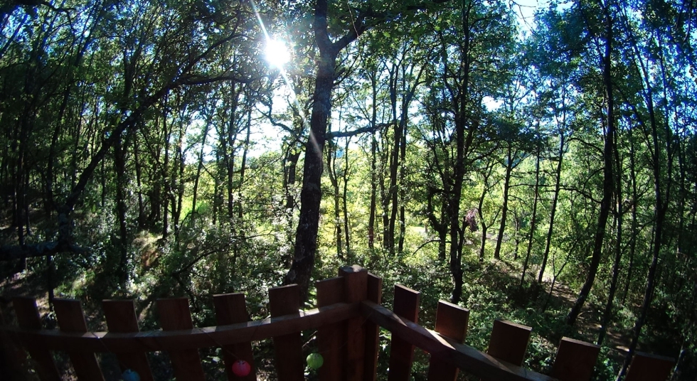 Photo 2/9 — Cabane « La Cabane de Manon : une escapade enchantée dans les arbres » à Beynes Provence-Alpes-Côte d'Azur