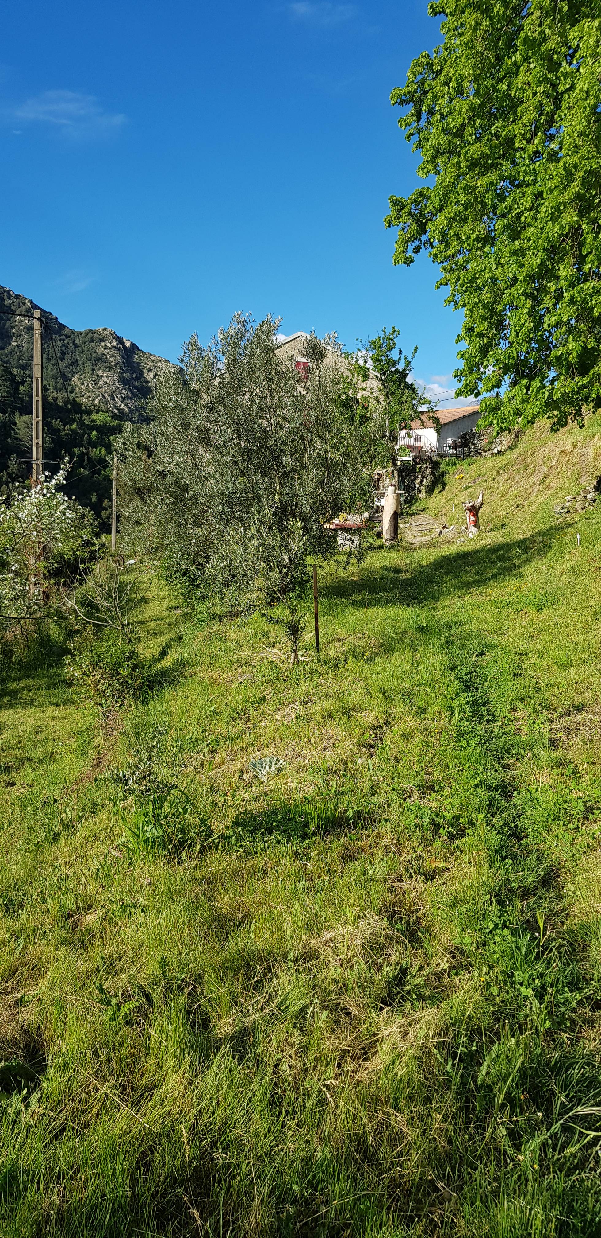Cabanon en Corse : une escapade authentique à Santa-Lucia-Di-Mercurio à Santa-Lucia-Di-Mercurio — cuisine