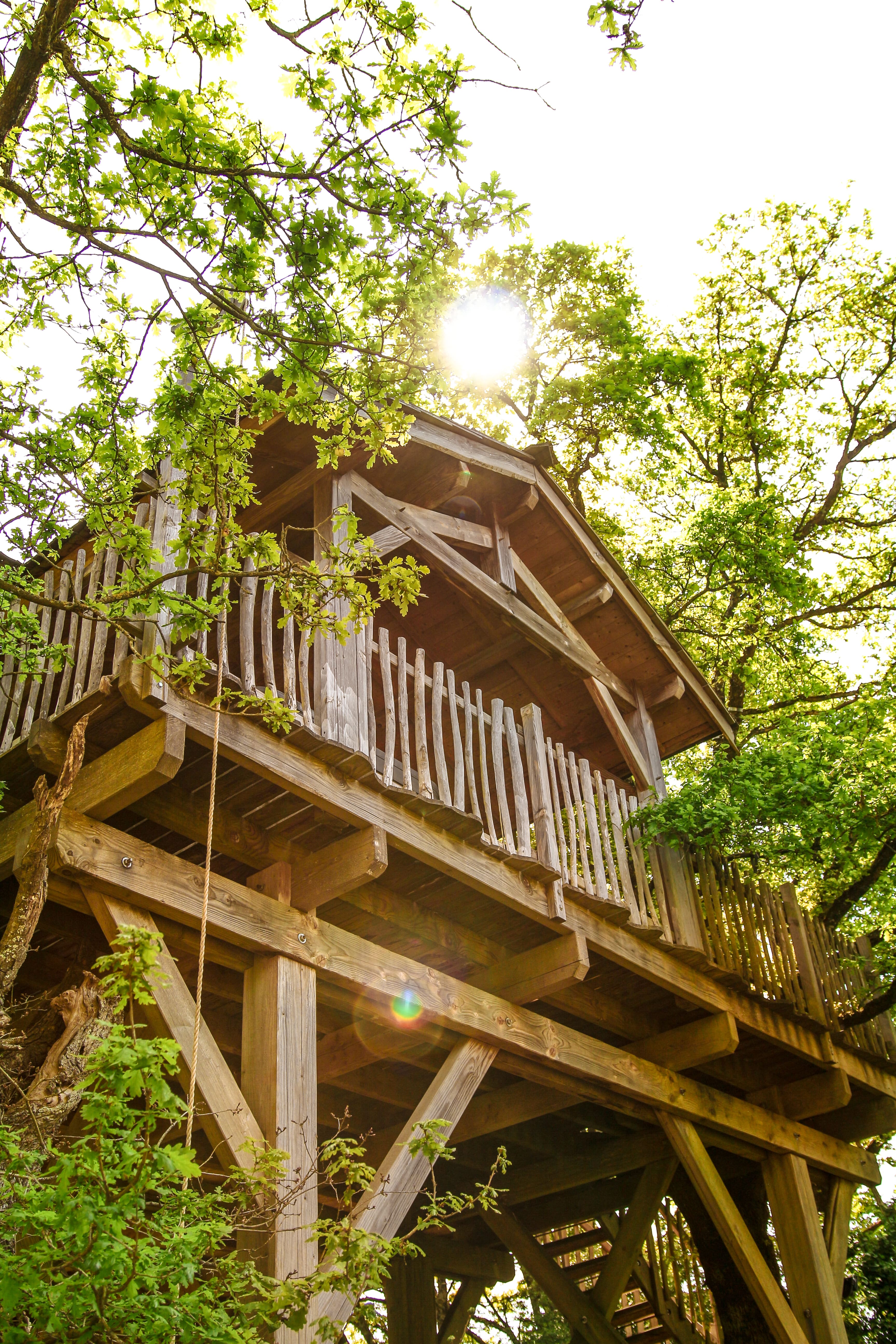 Cabane Spa des Hauts Bois : une évasion dans les arbres à Sace — vue intérieure