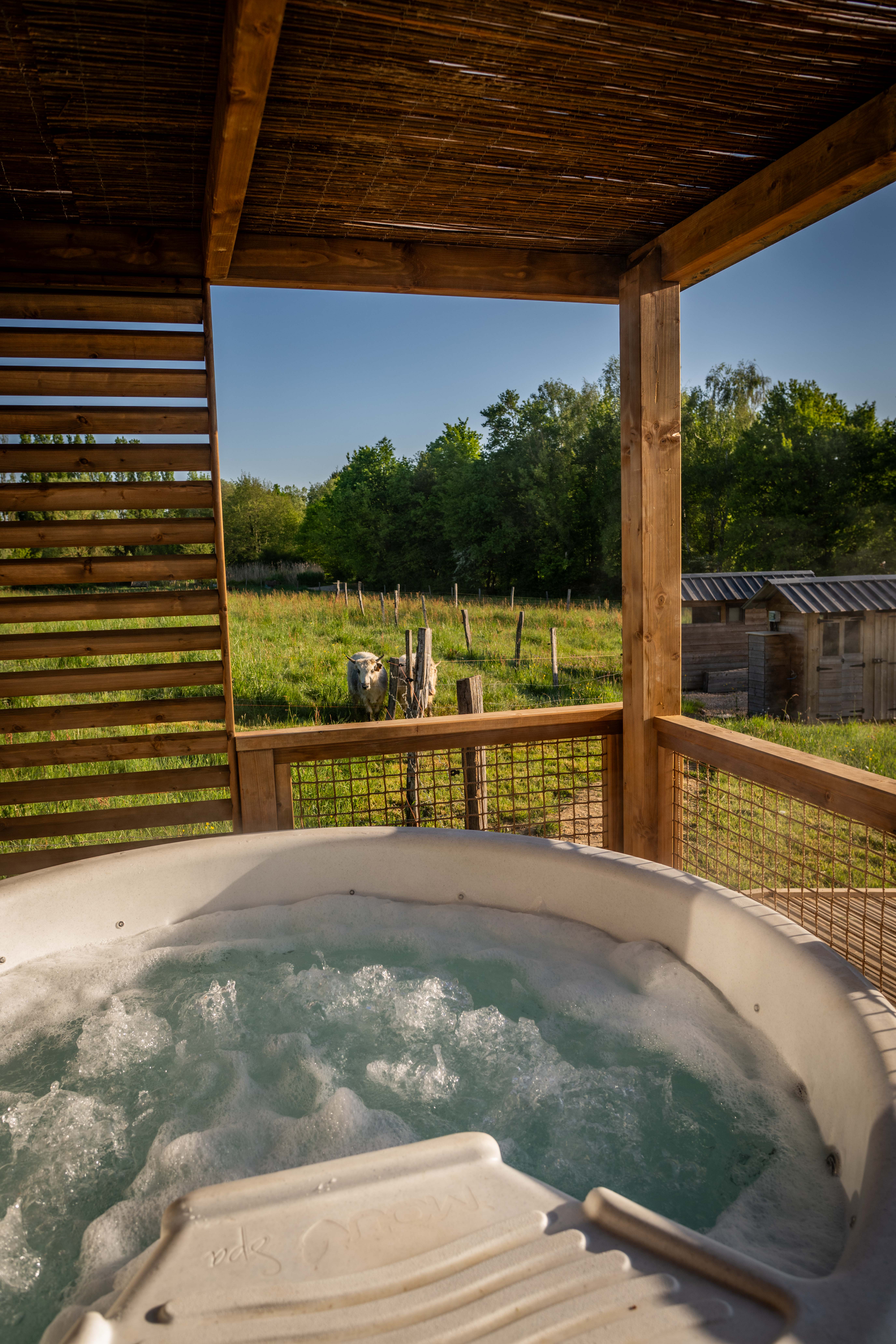 Cabane PMR Spa — Évasion relaxante à Ain à Meillonnas — espace de vie