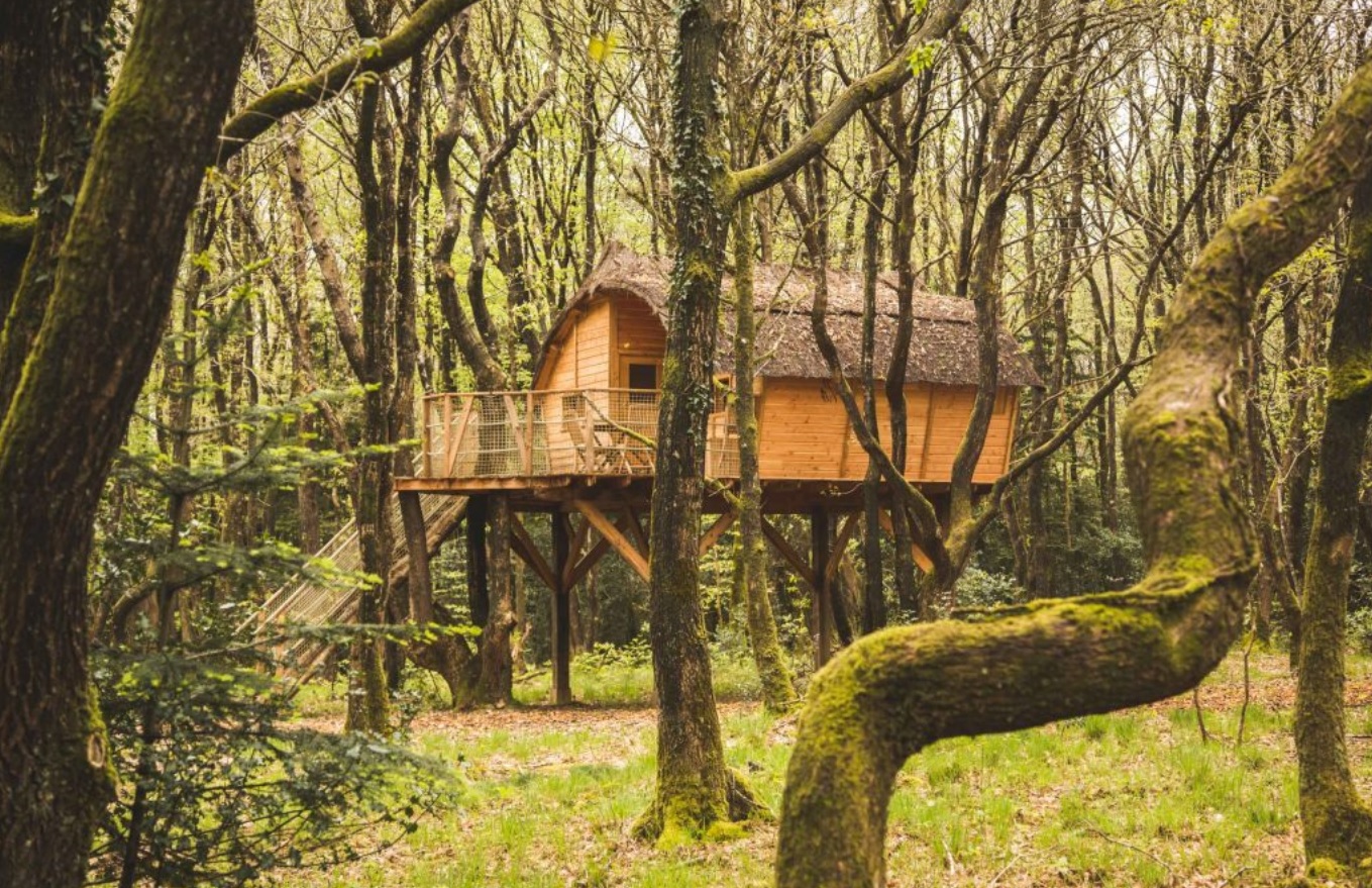 Cabane Tinto : une escapade dans les arbres en Bretagne