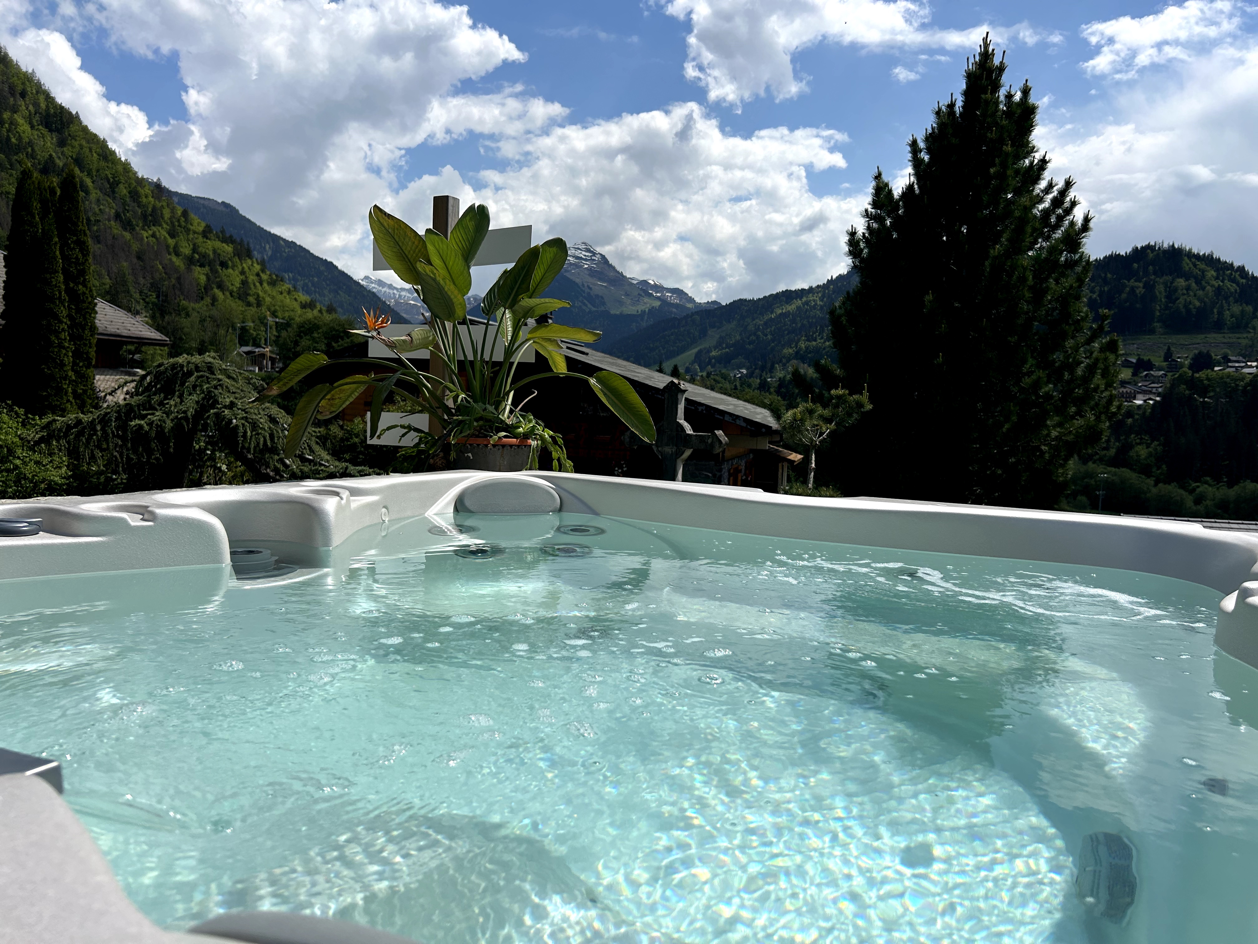 Le Petit Nid d'Amour — Chalet avec vue panoramique à Haute-Savoie à Montriond — détail architectural